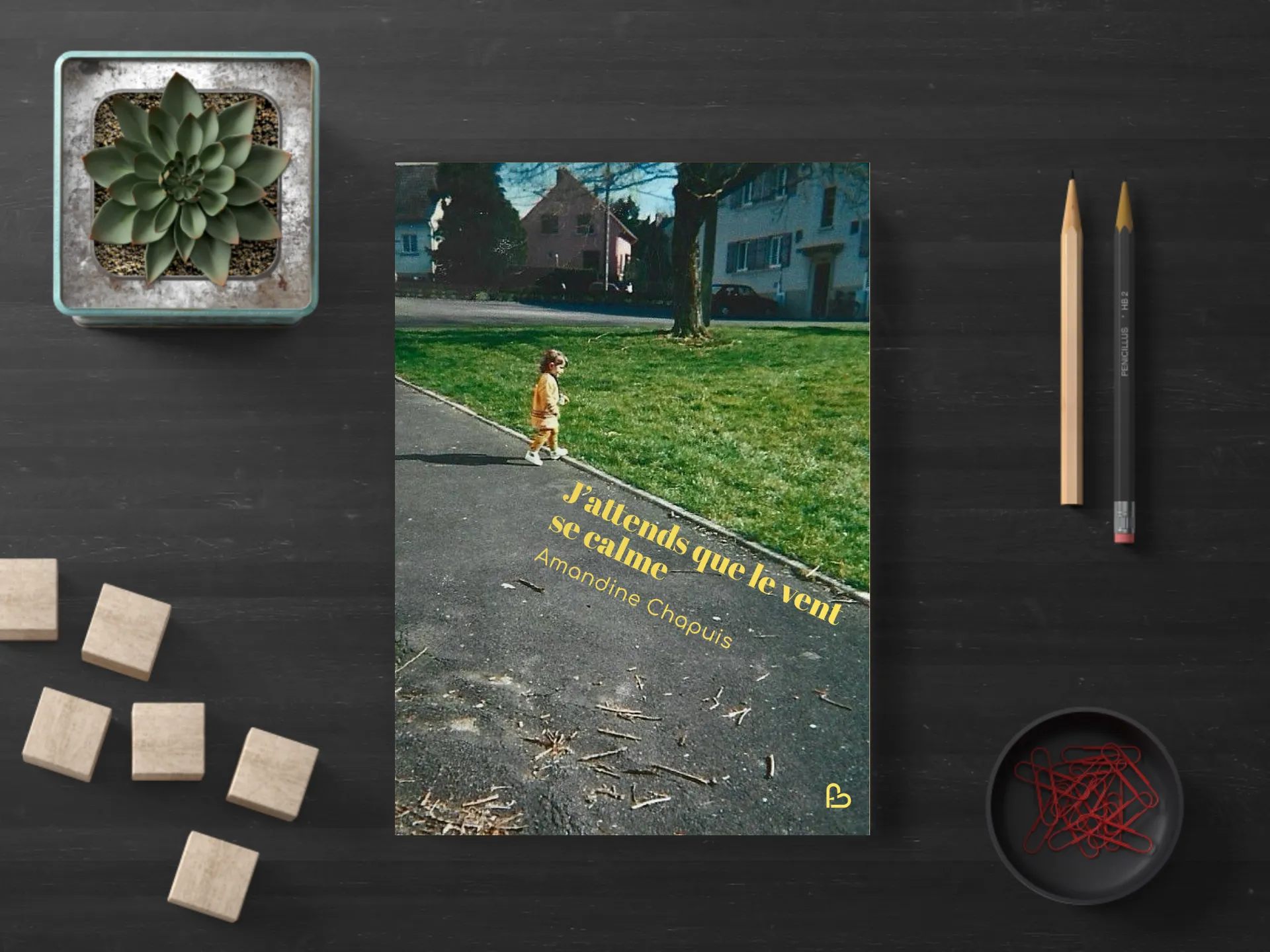 Cover of the book