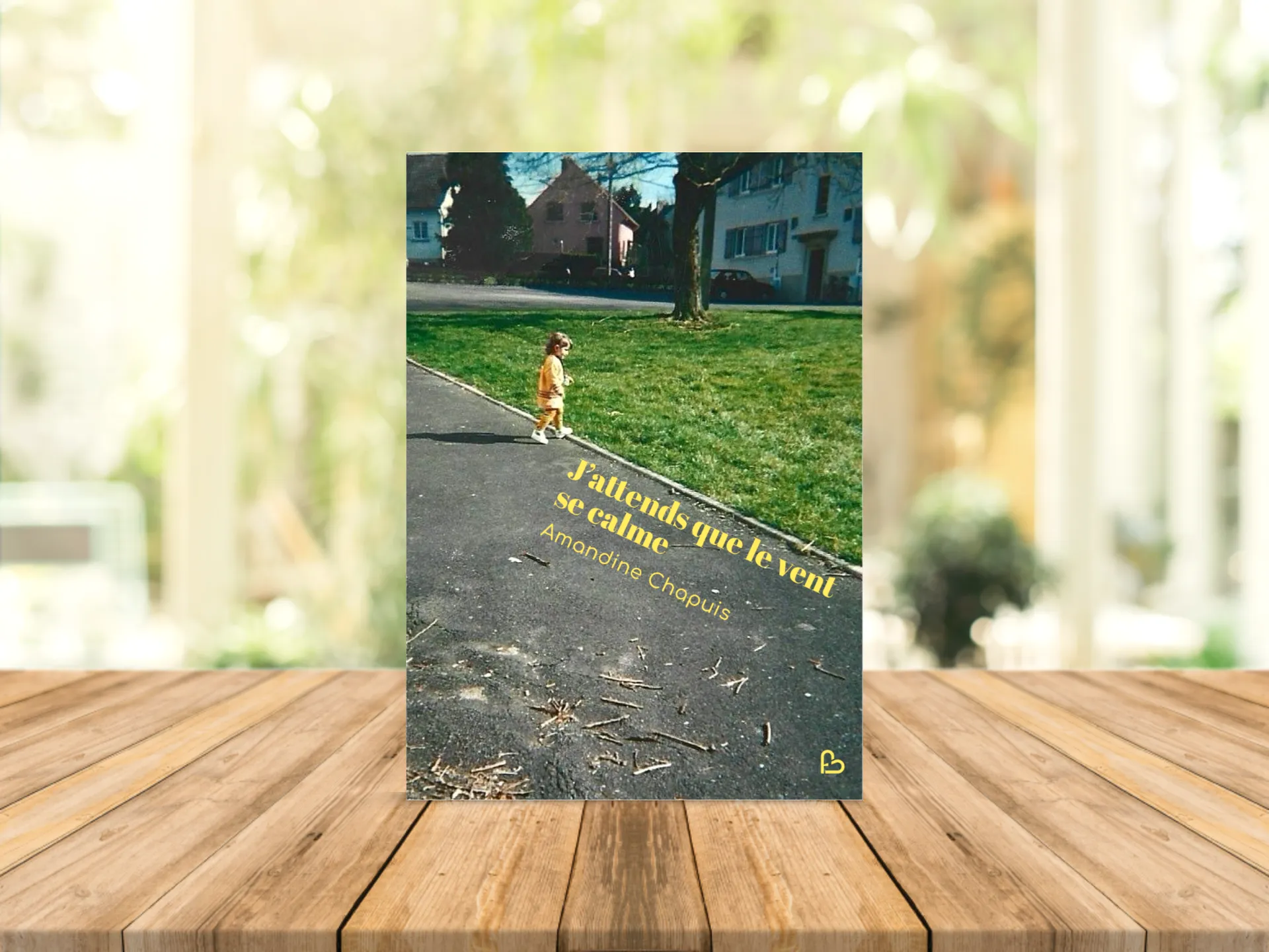 Cover of the book