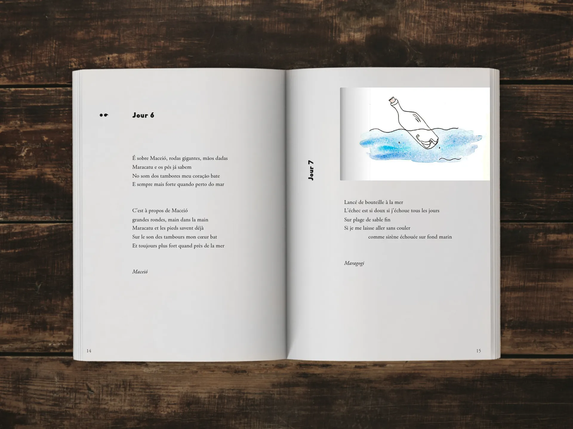 Cover of the book