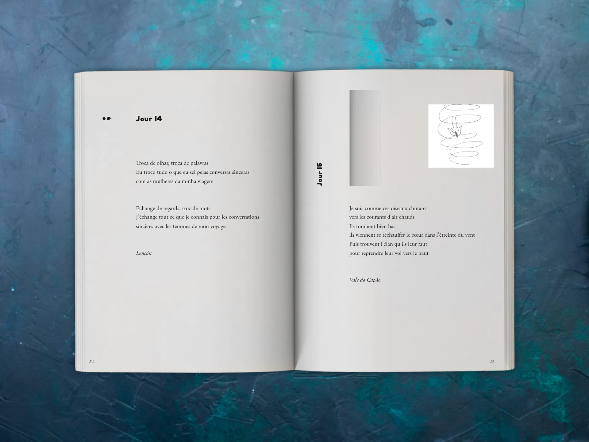 Cover of the book