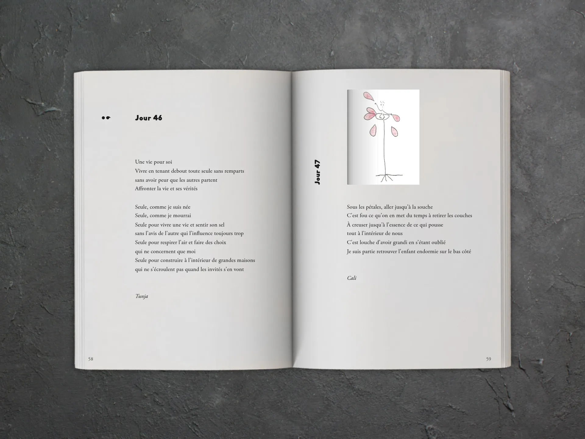 Cover of the book