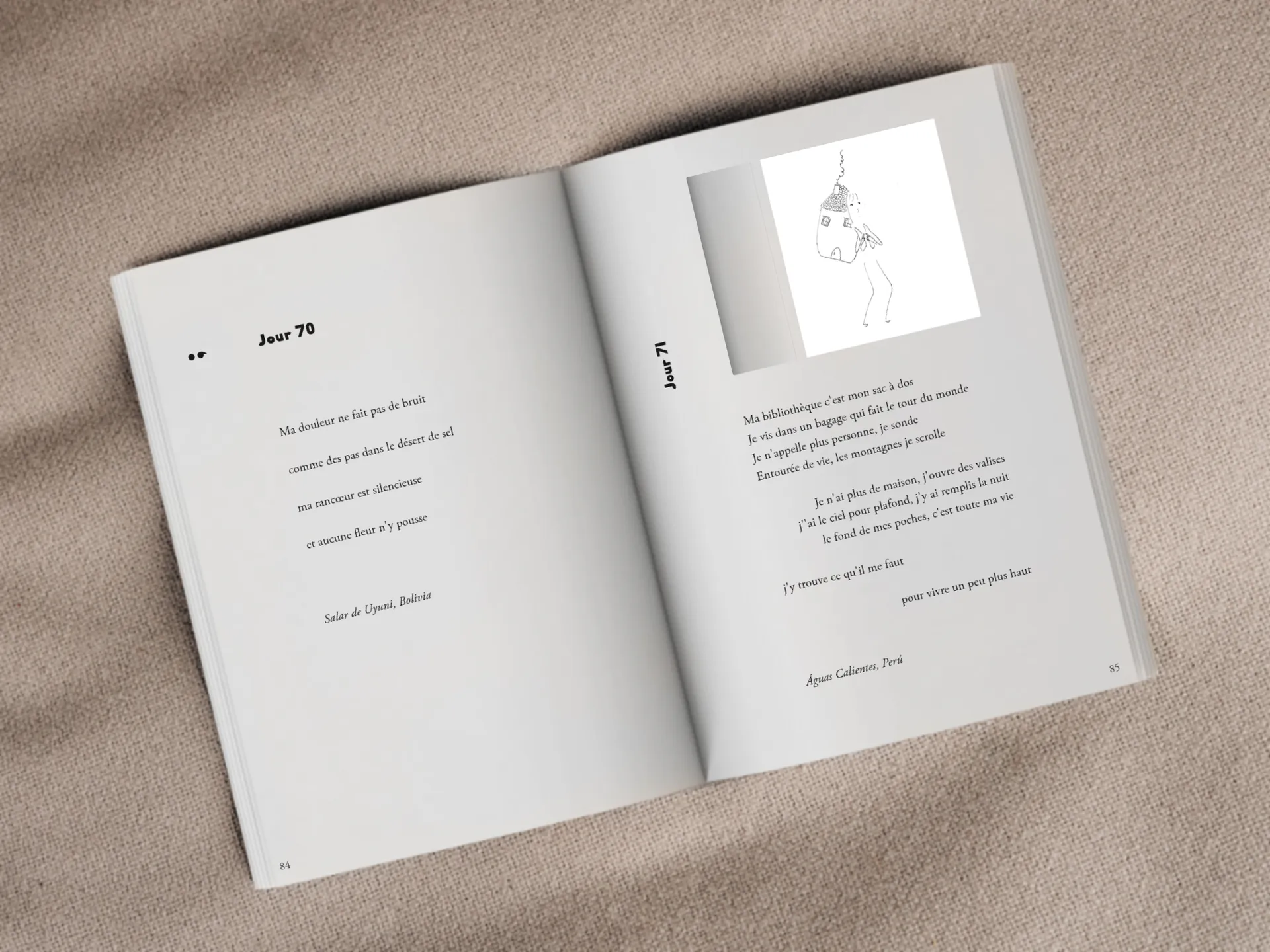 Cover of the book
