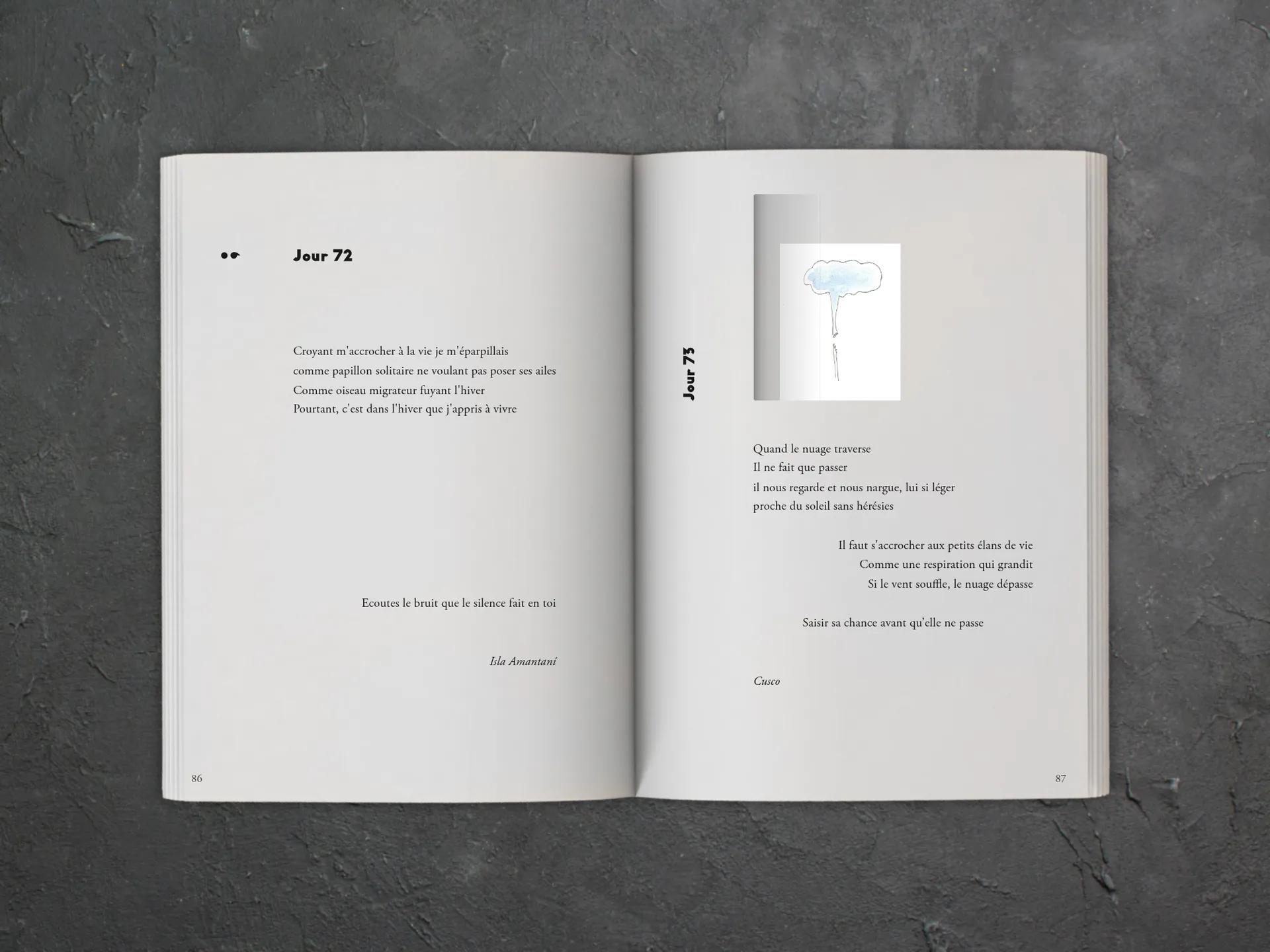 Cover of the book