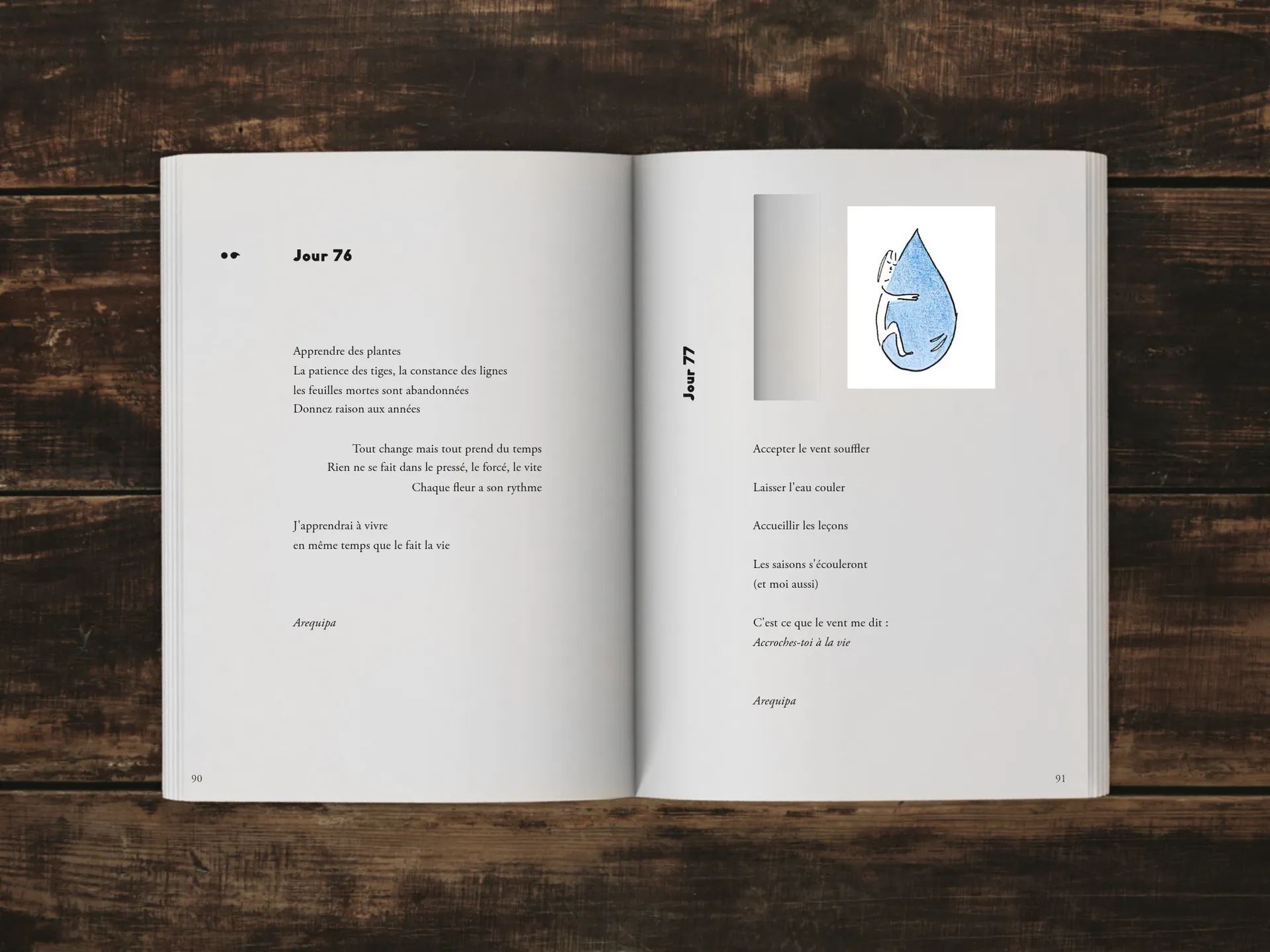 Cover of the book