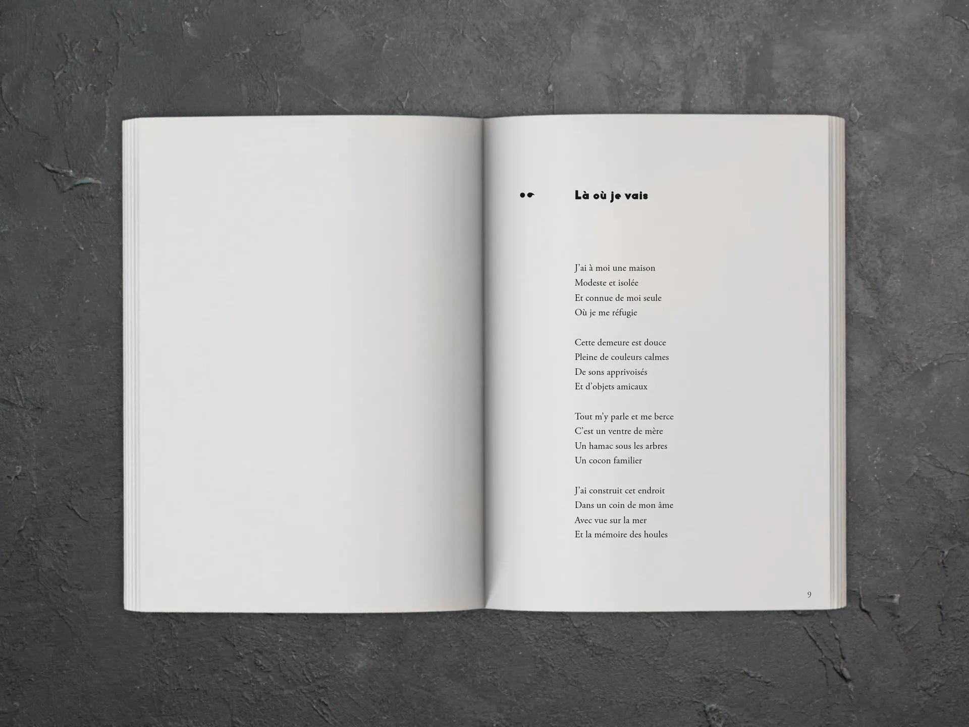 Cover of the book