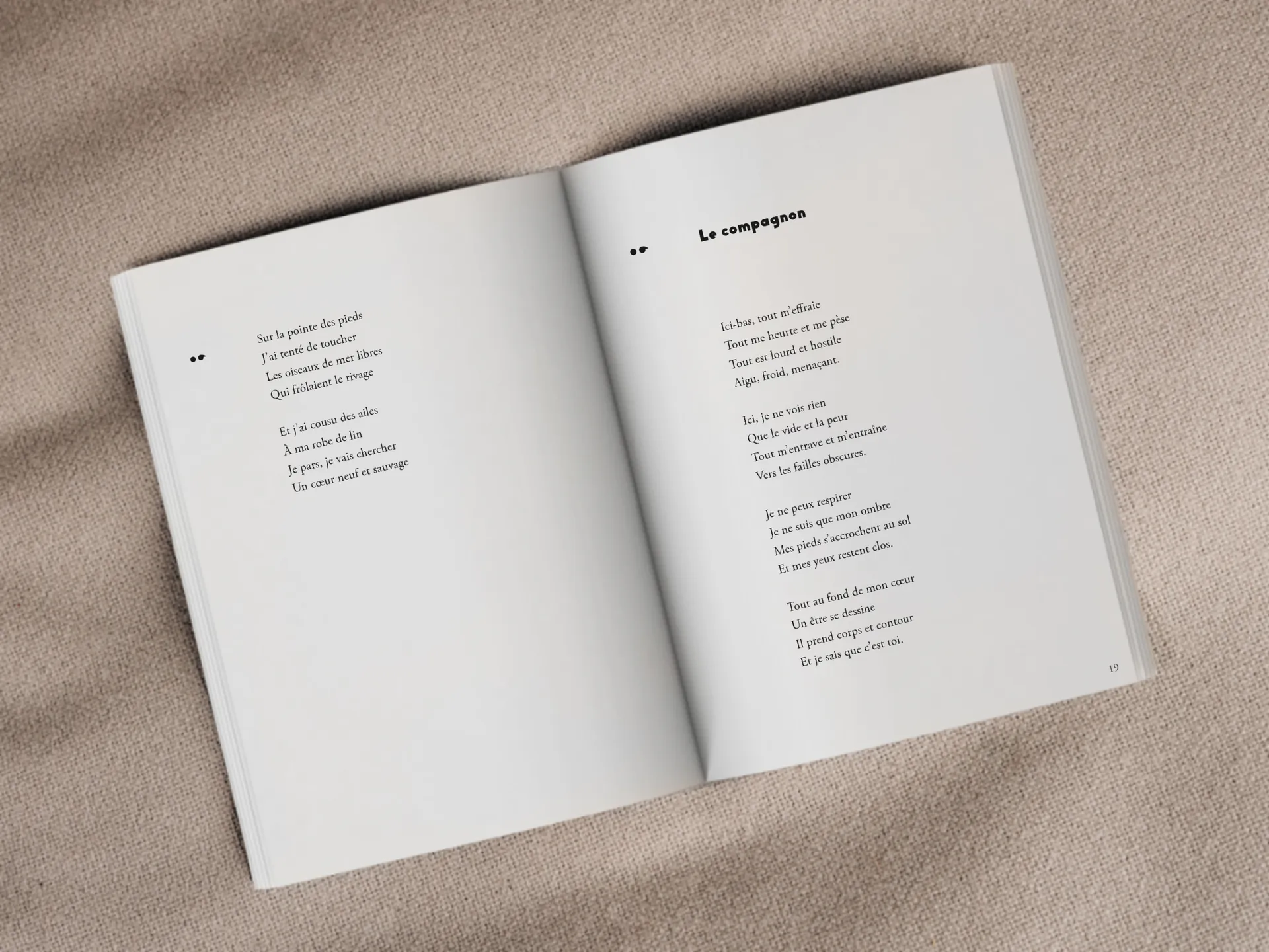 Cover of the book