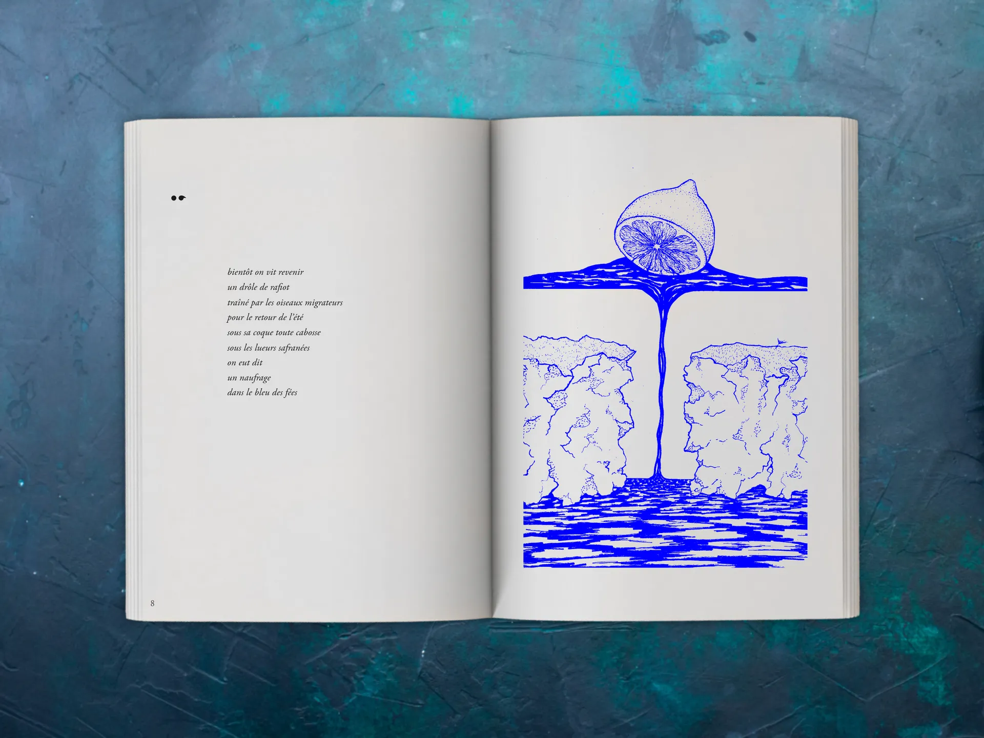 Cover of the book
