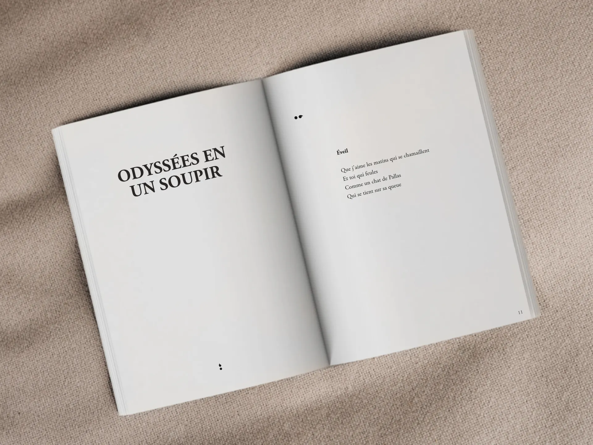 Cover of the book