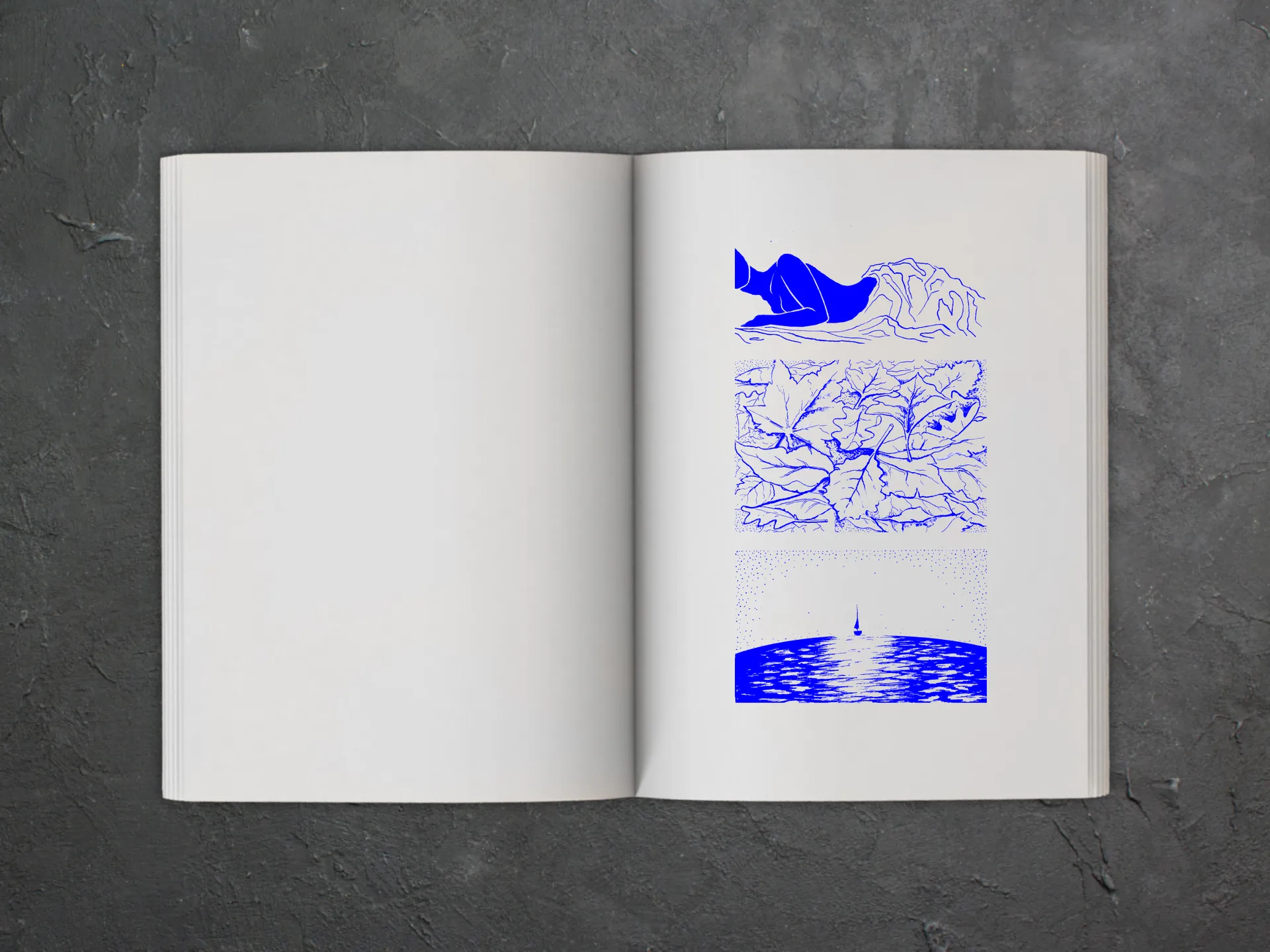 Cover of the book