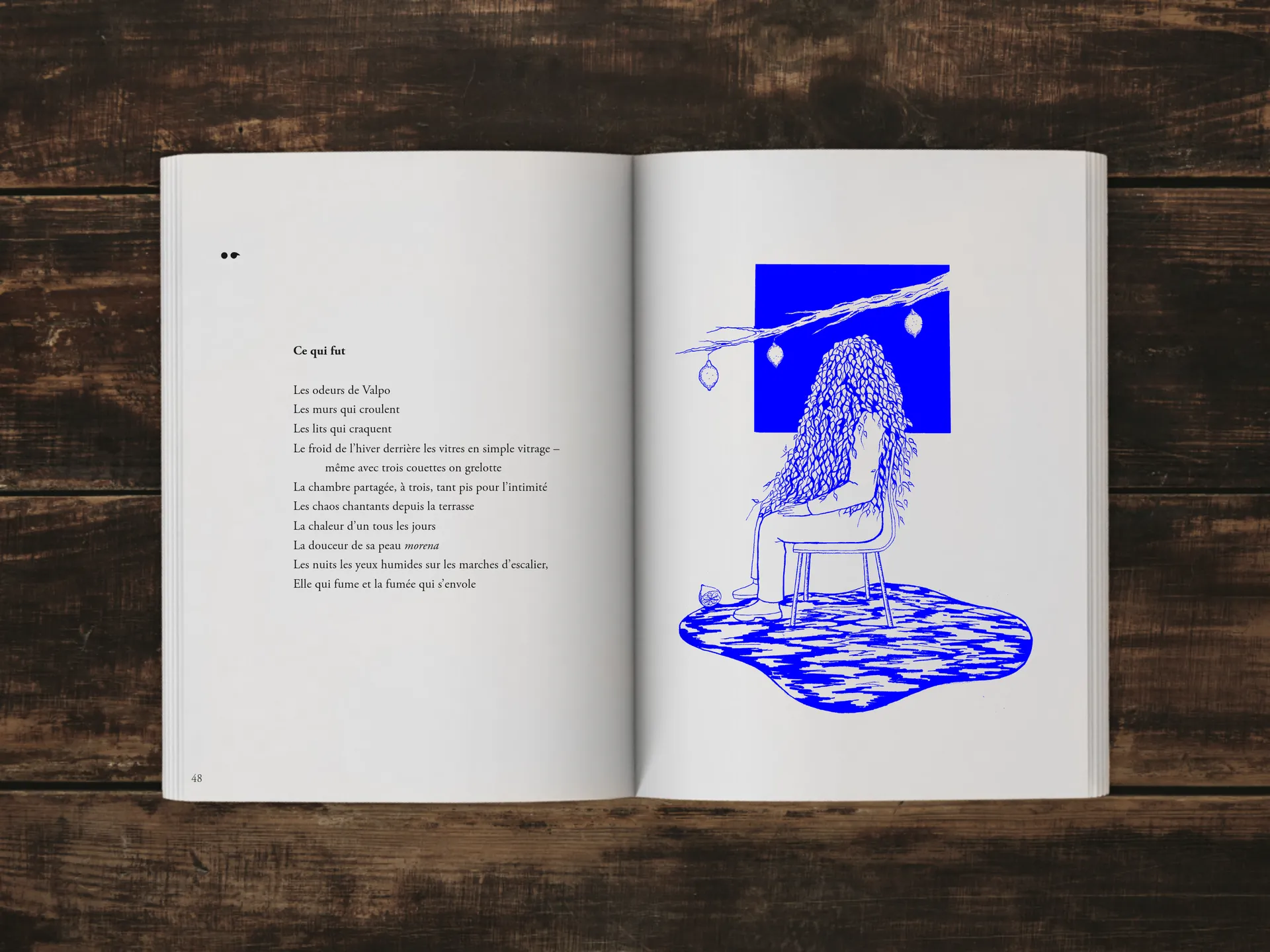 Cover of the book