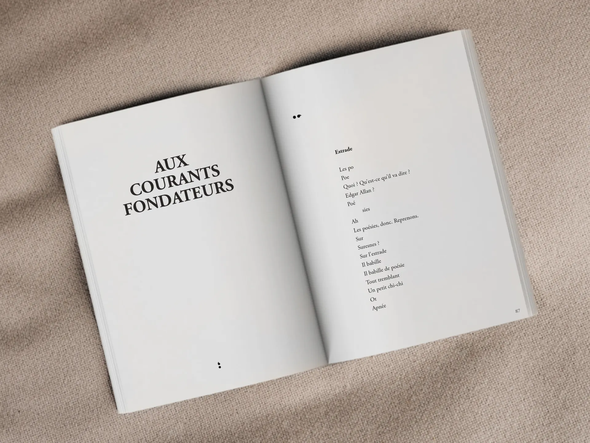 Cover of the book