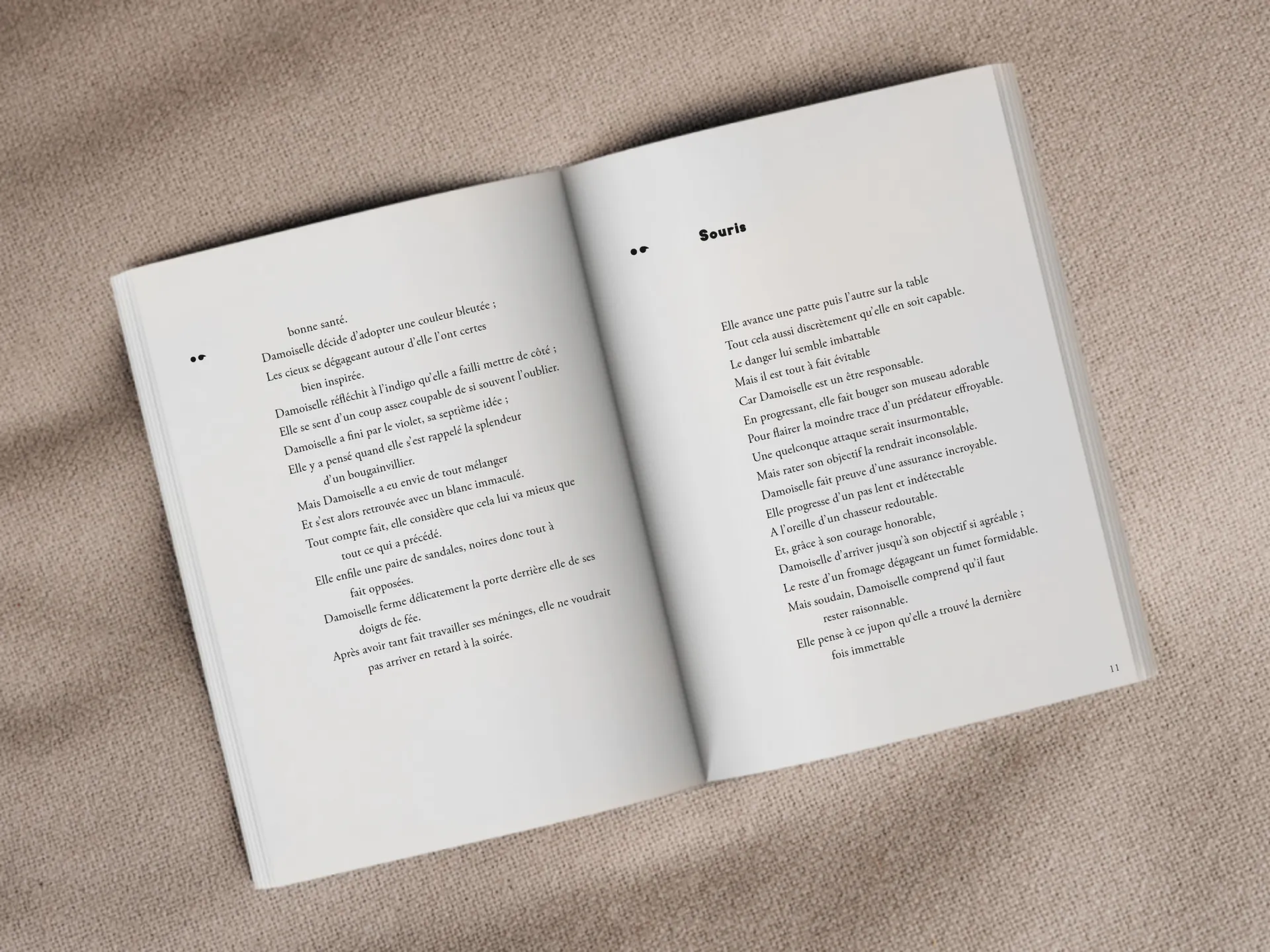 Cover of the book