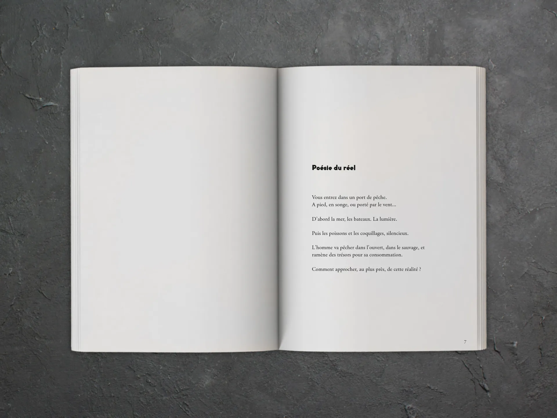 Cover of the book