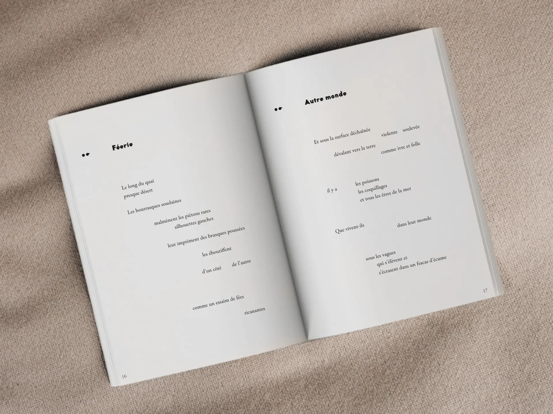 Cover of the book