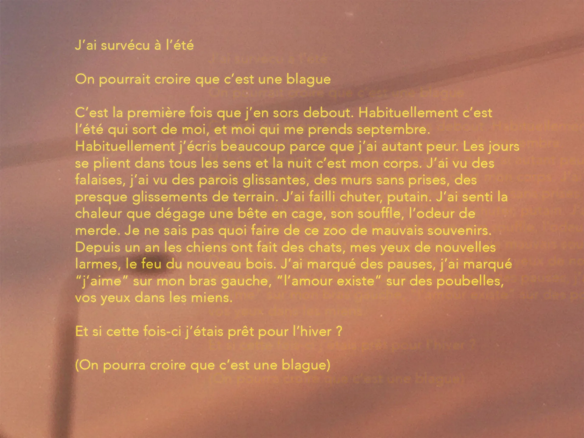 Cover of the book