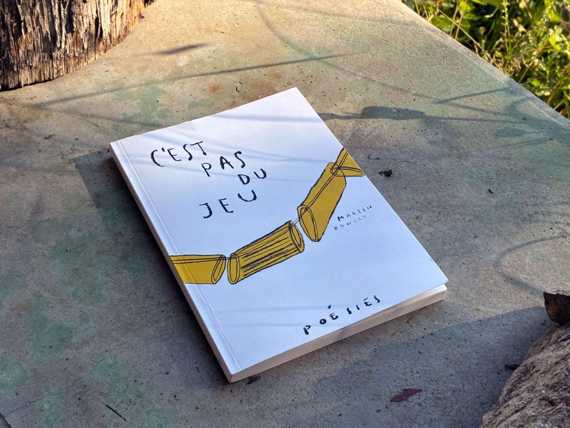 Cover of the book