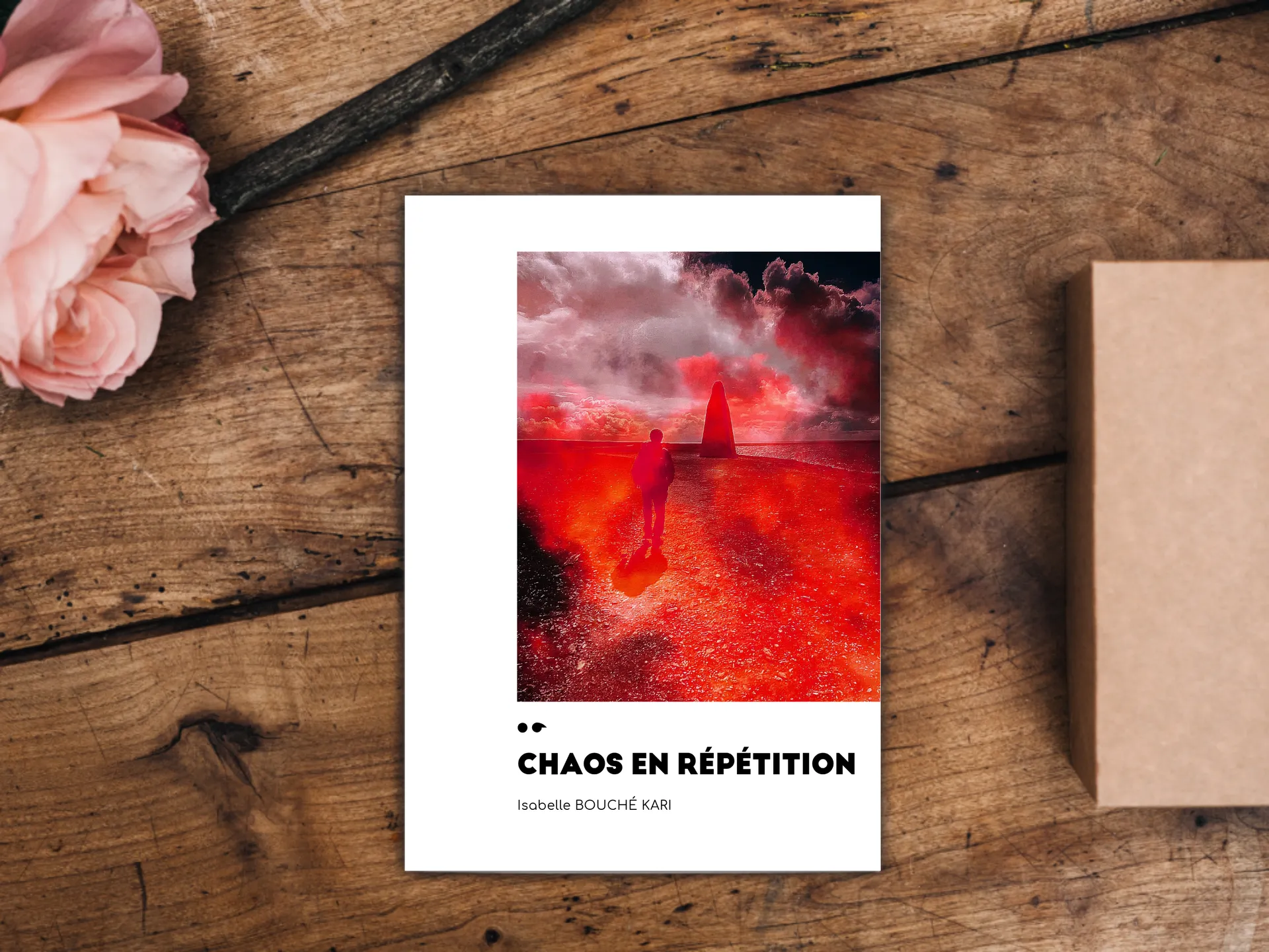 Cover of the book