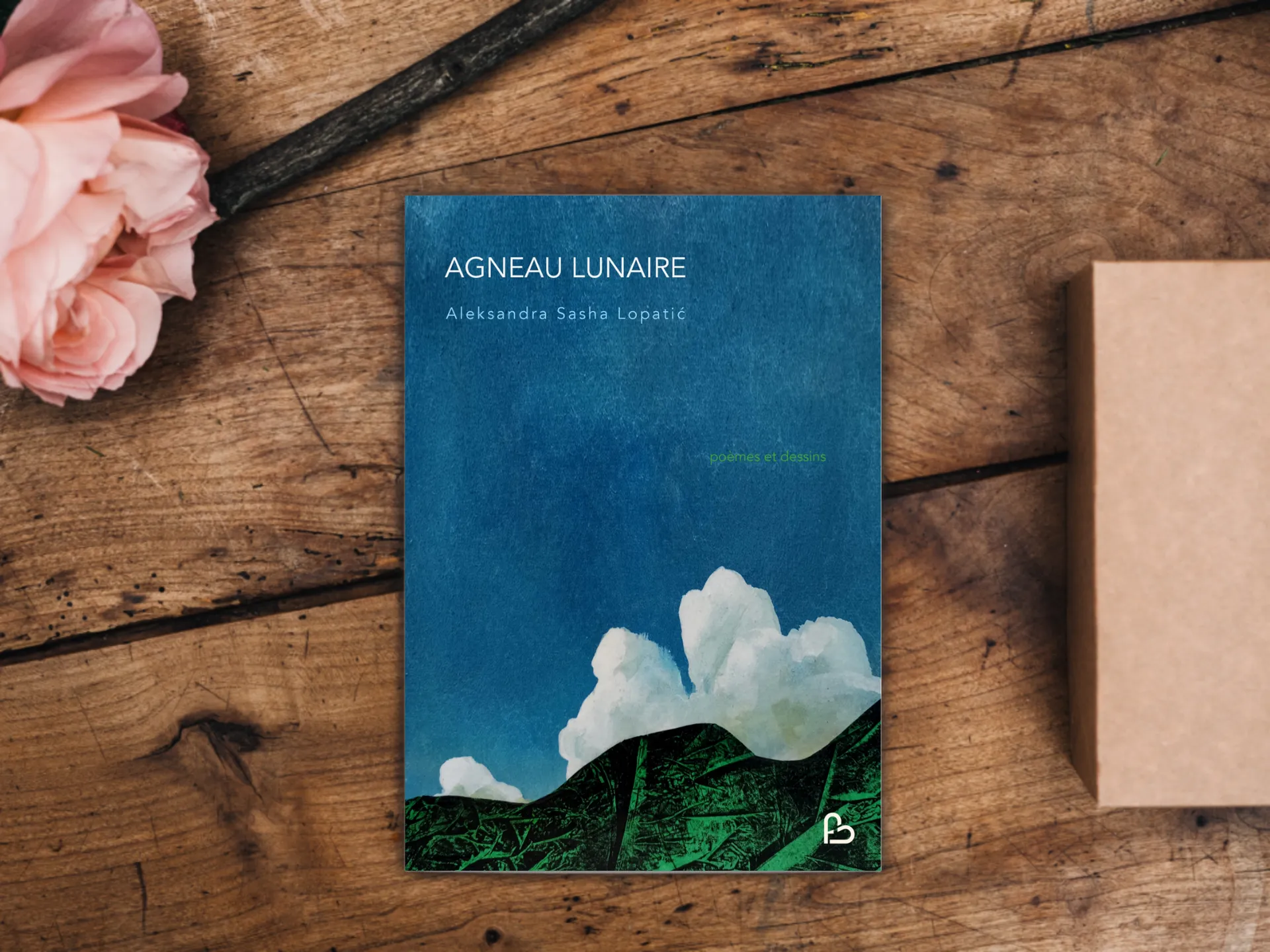Cover of the book
