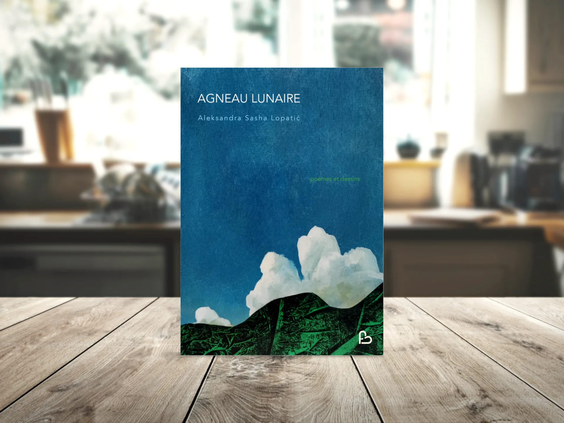 Cover of the book