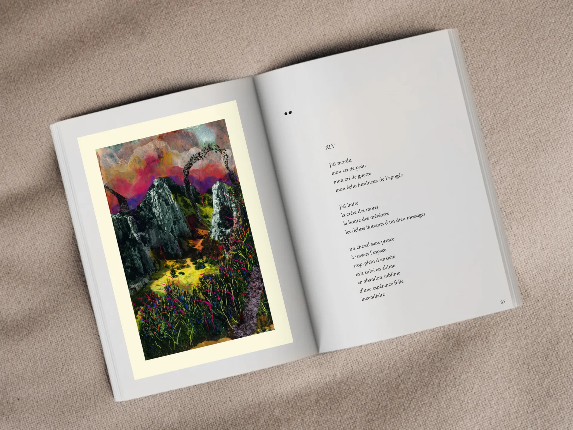 Cover of the book
