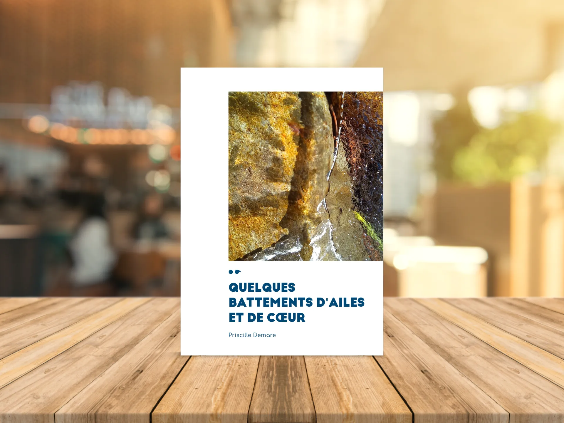 Cover of the book
