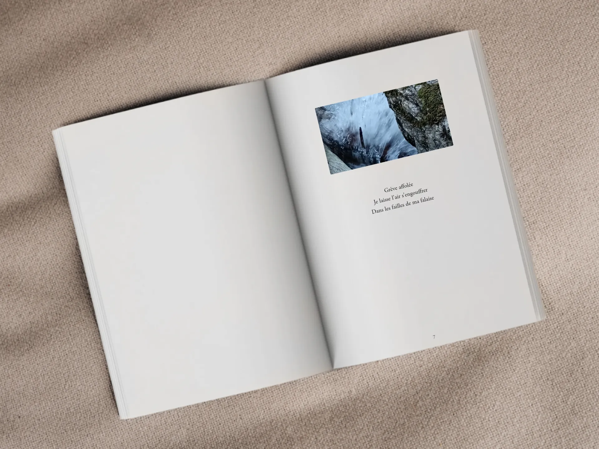 Cover of the book