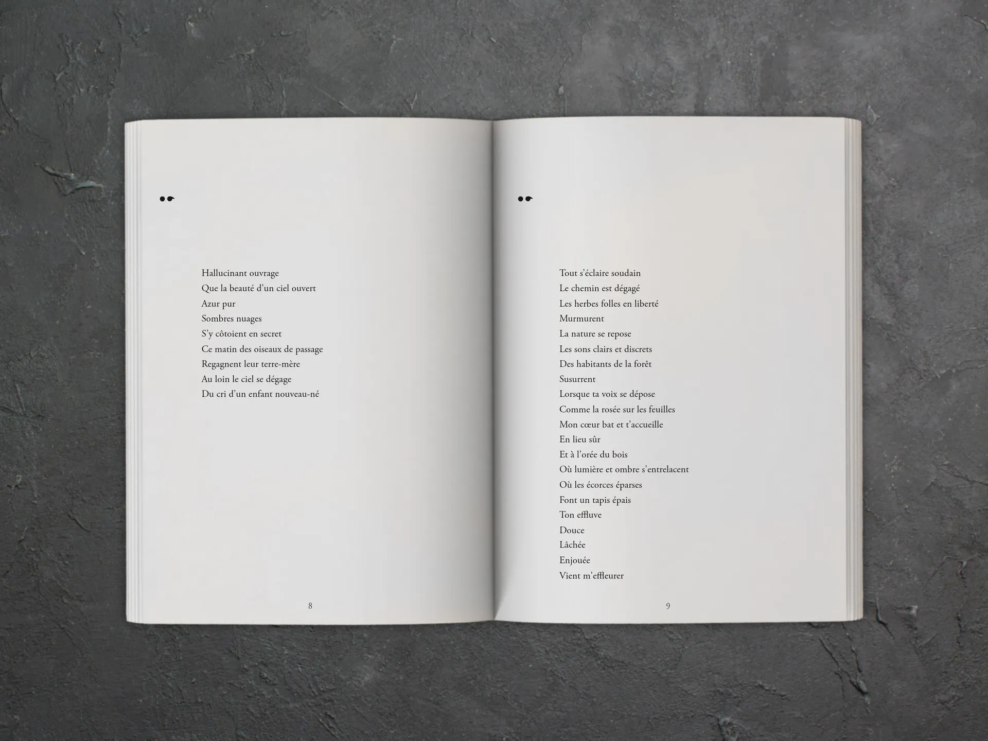 Cover of the book