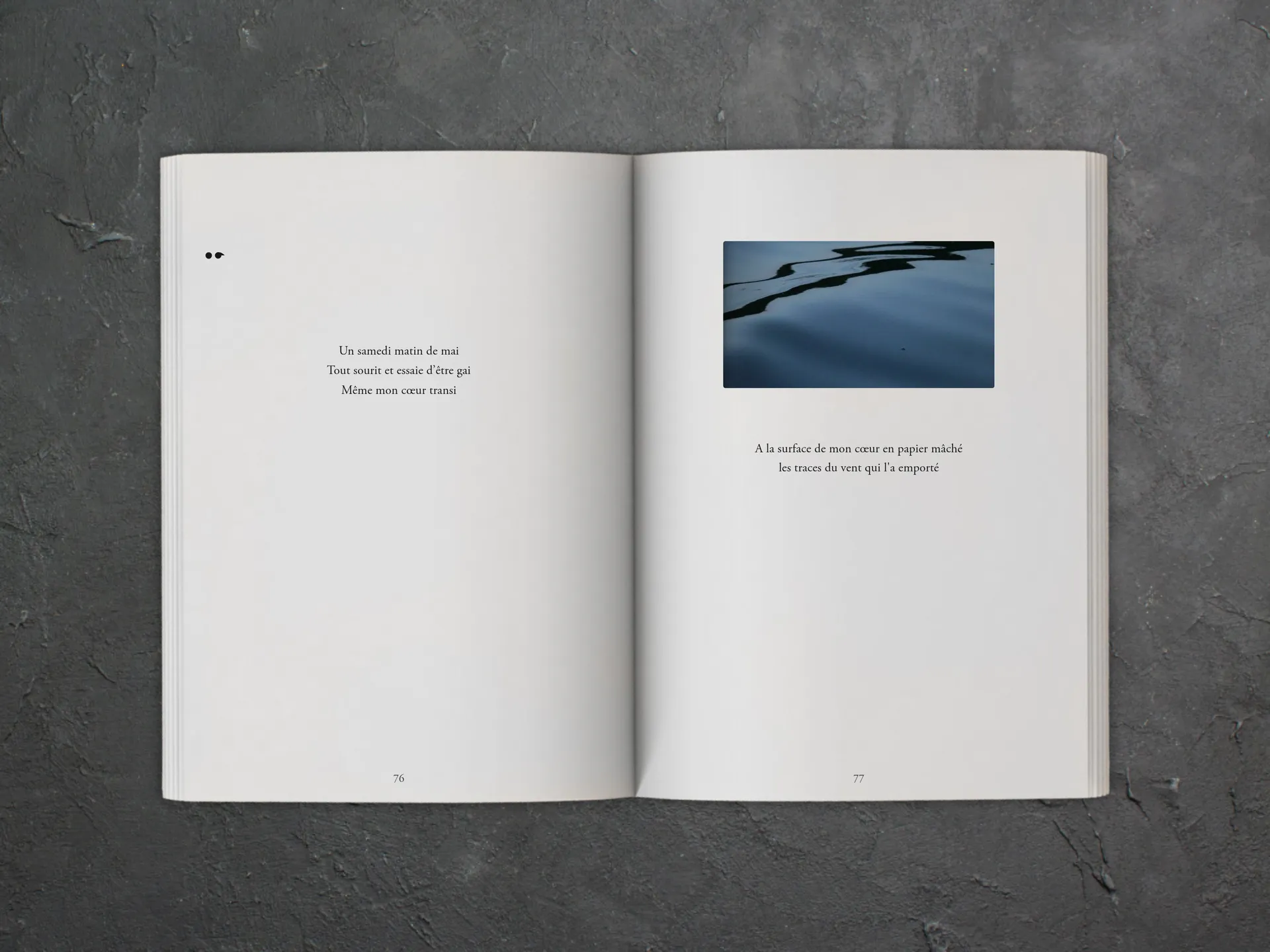 Cover of the book