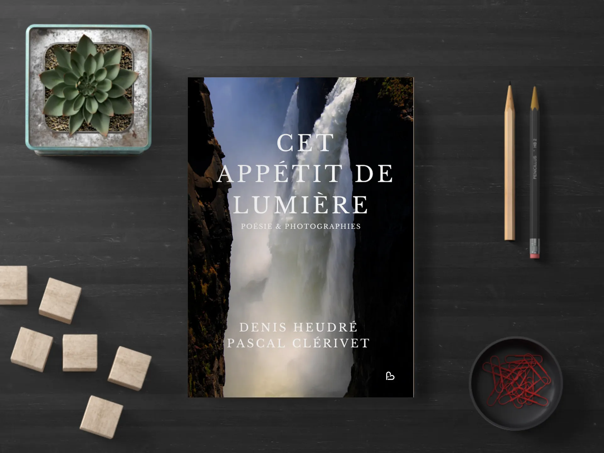 Cover of the book