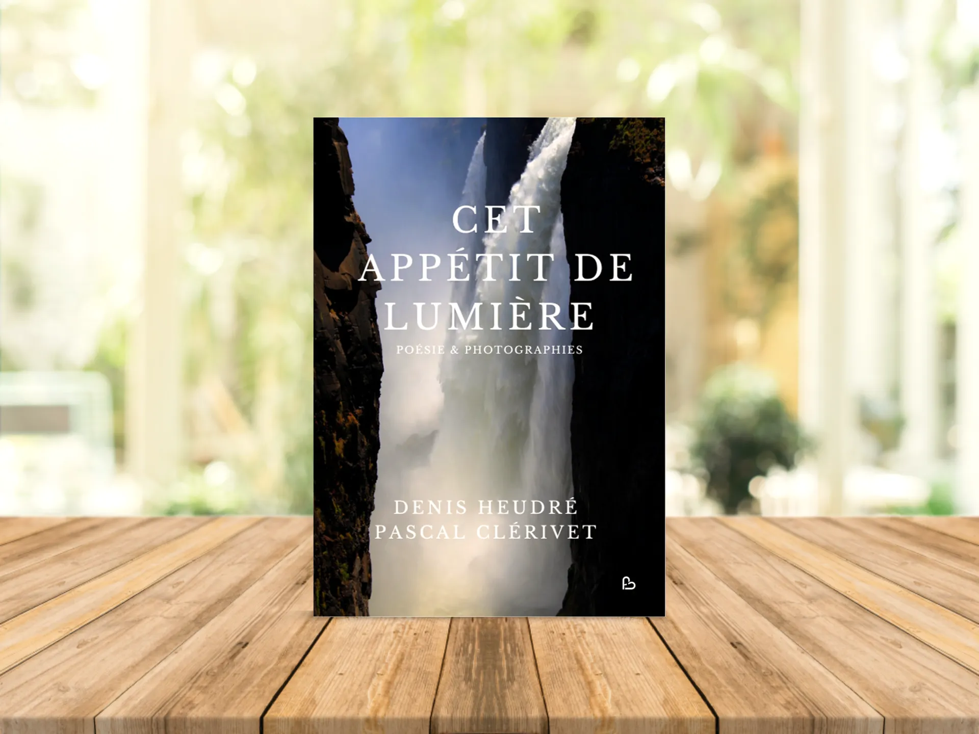 Cover of the book