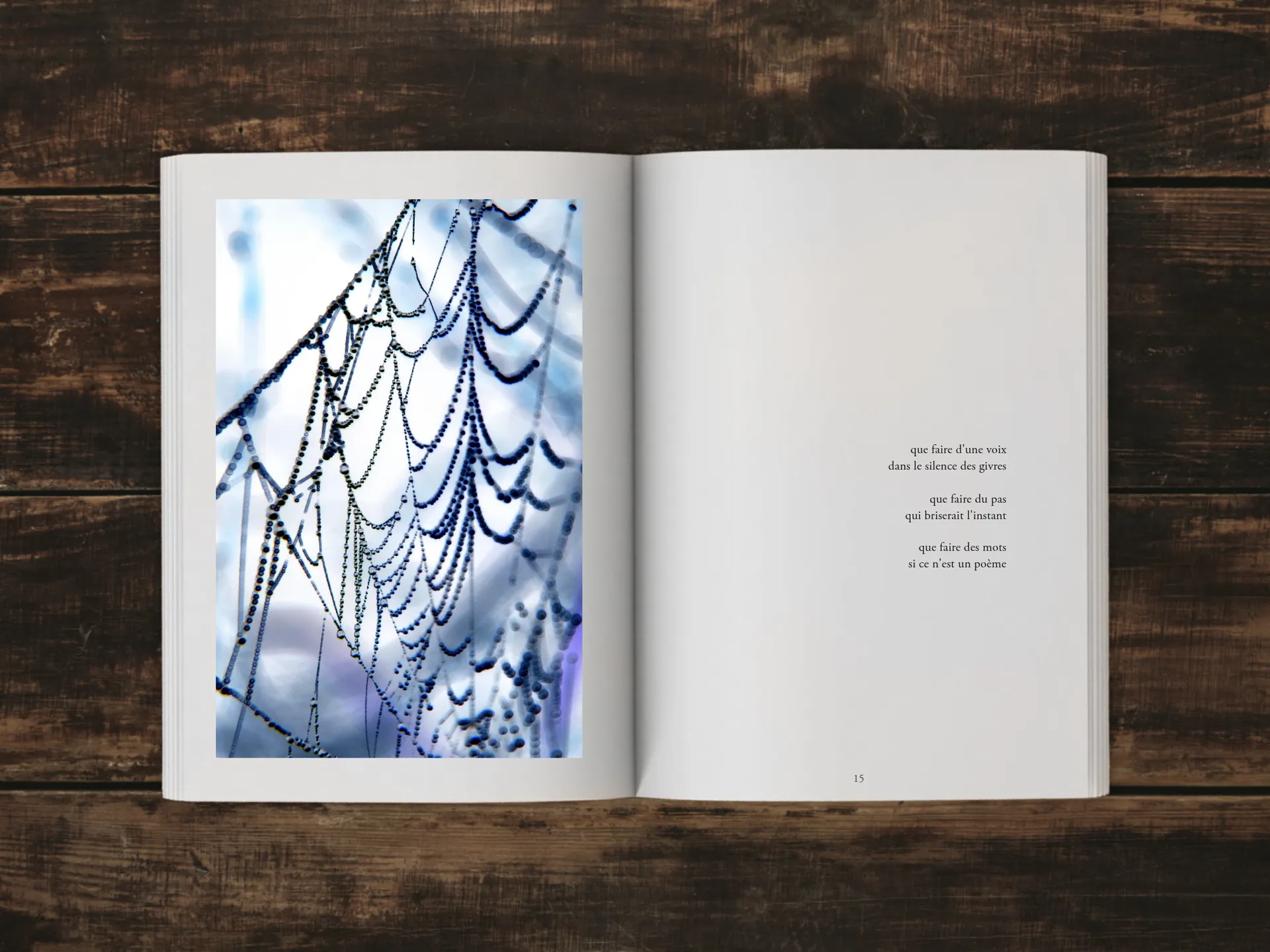 Cover of the book