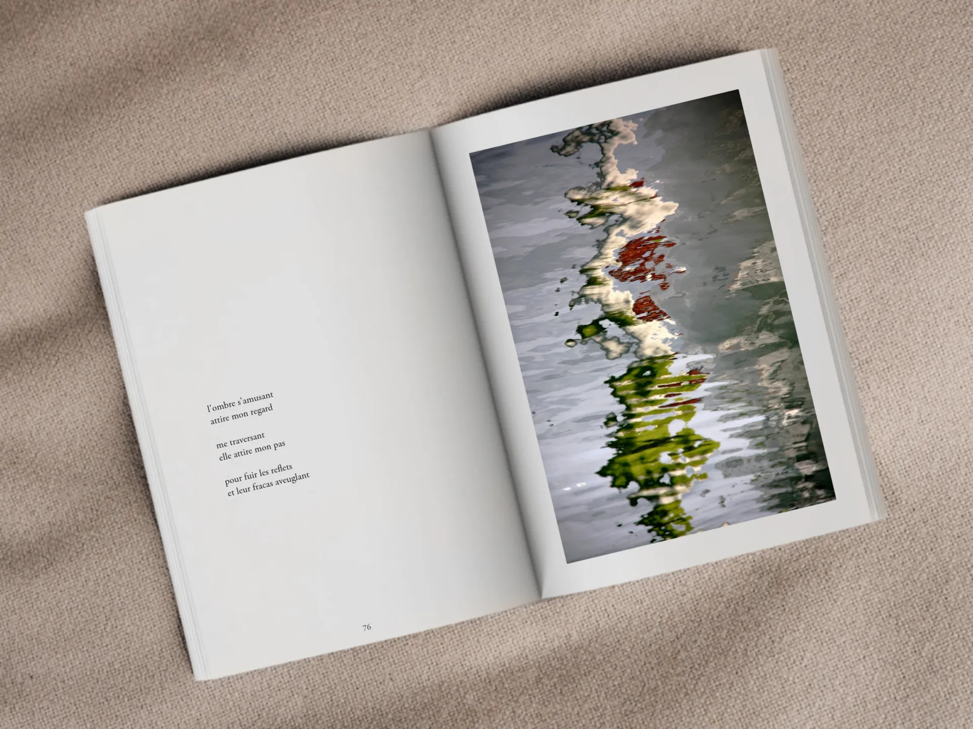 Cover of the book