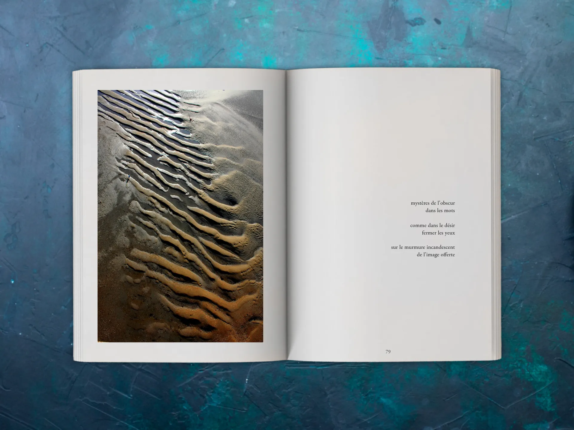 Cover of the book
