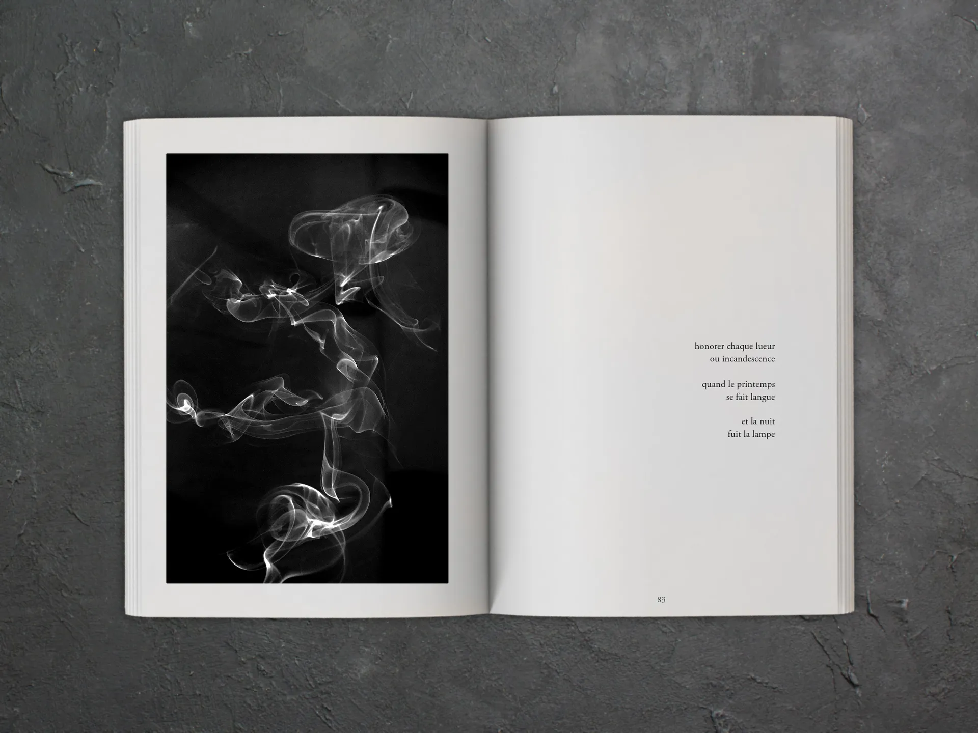 Cover of the book