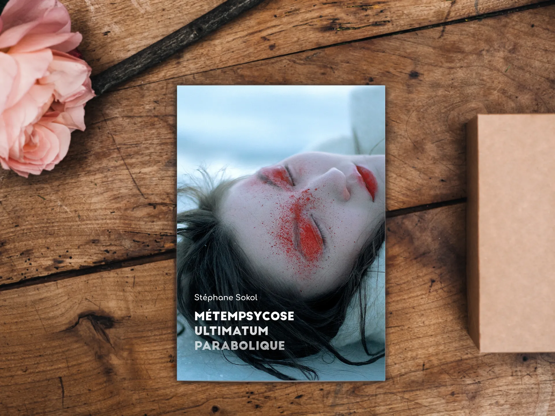 Cover of the book