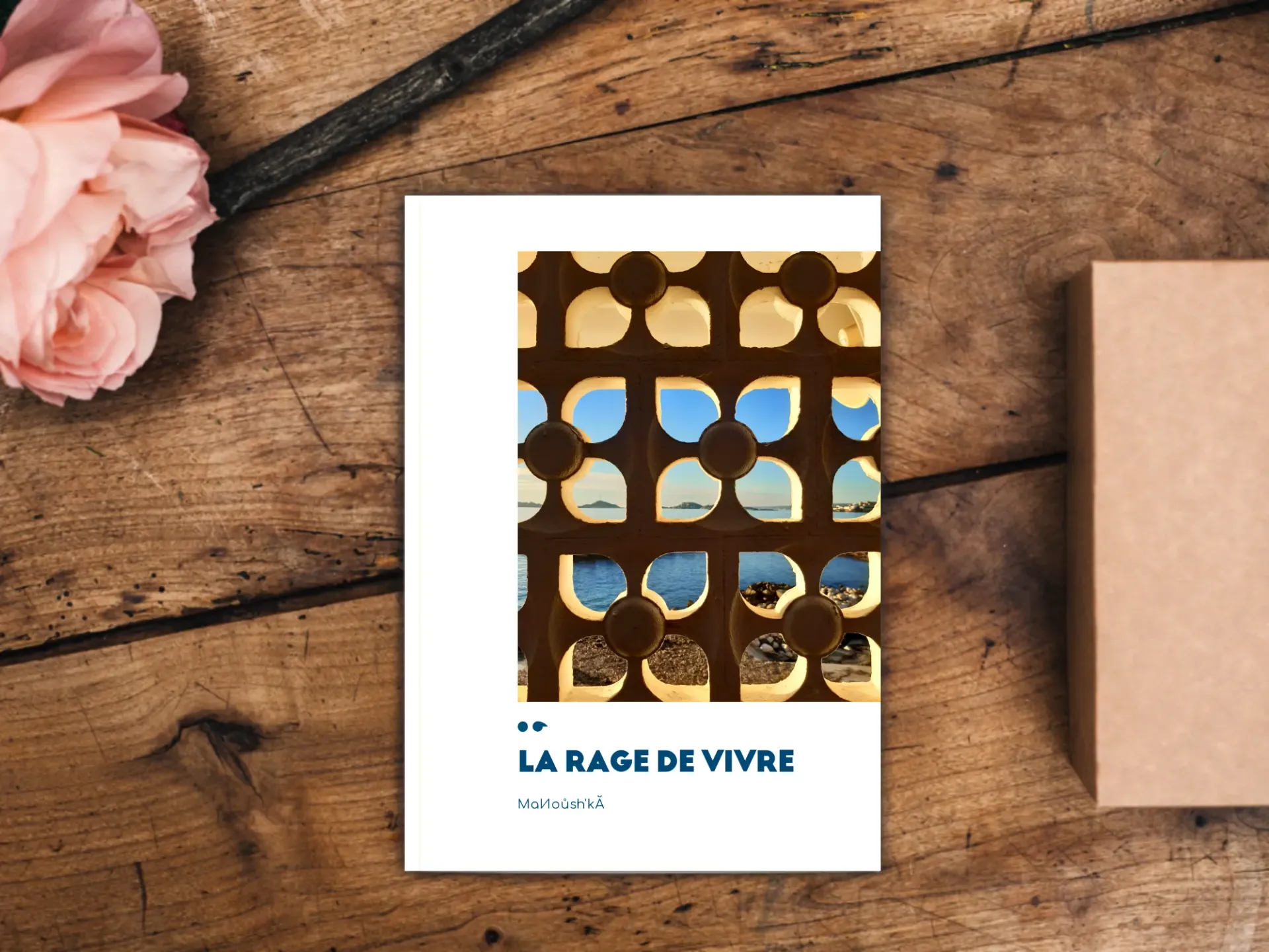 Cover of the book