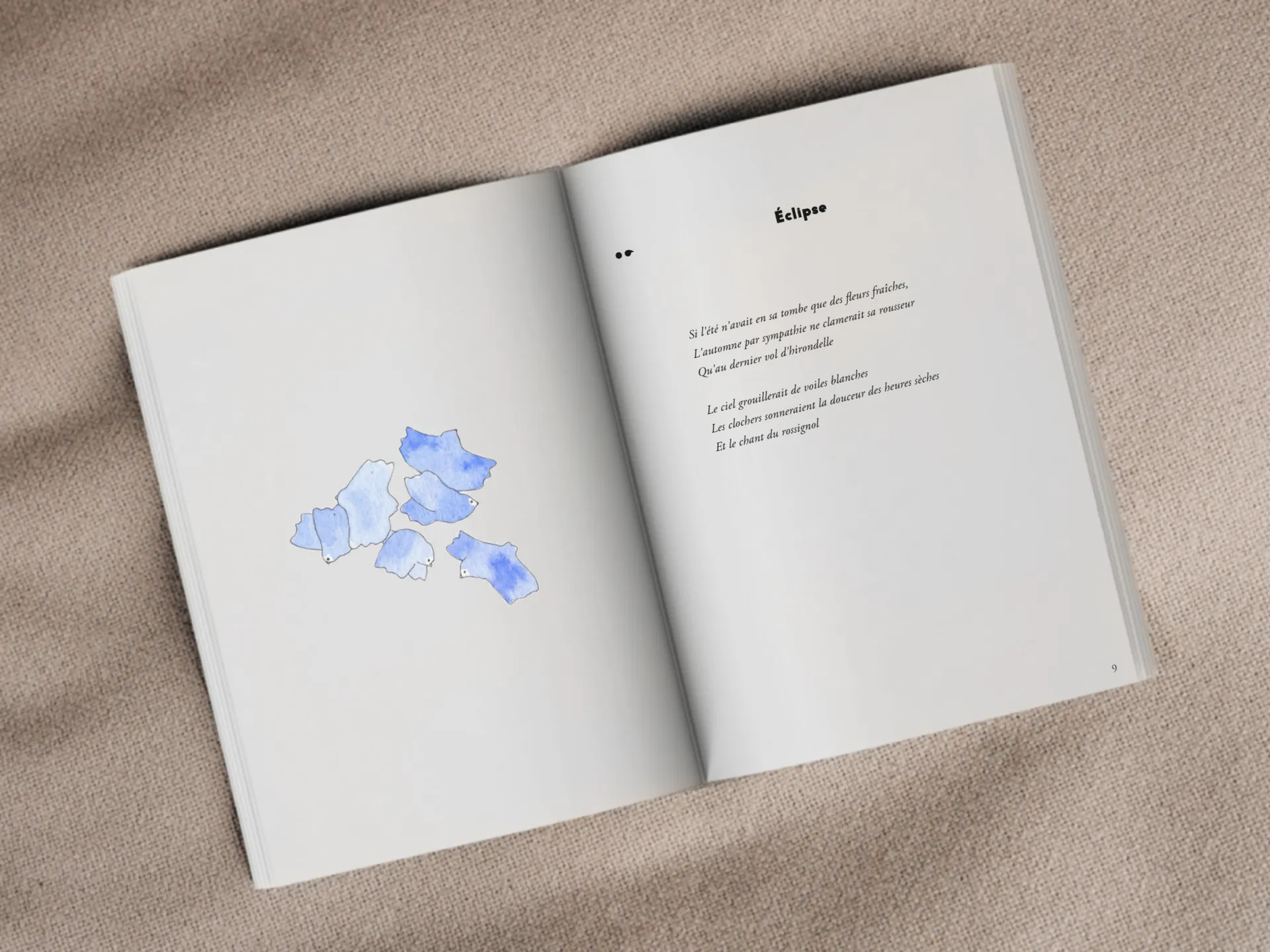 Cover of the book
