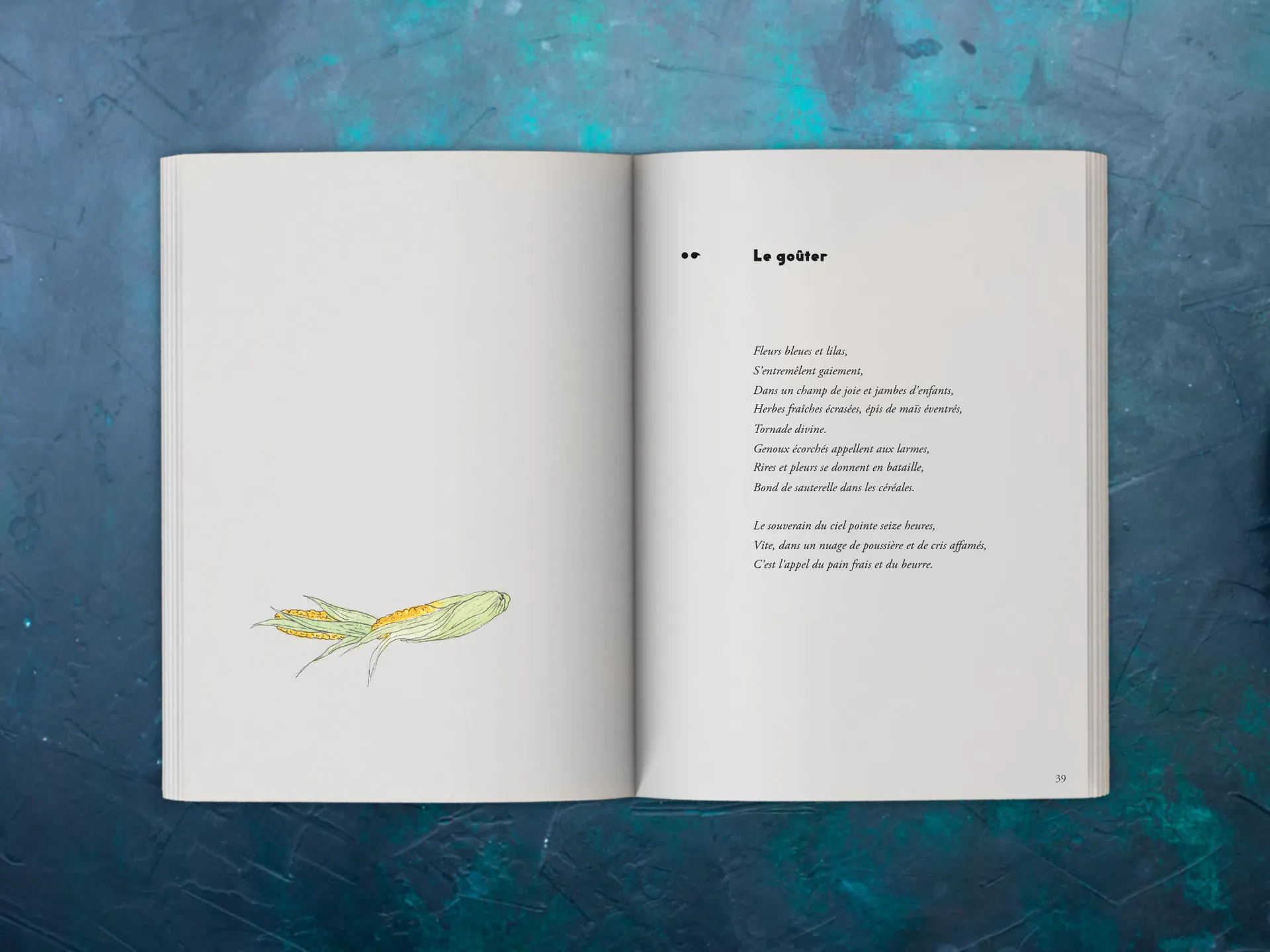 Cover of the book
