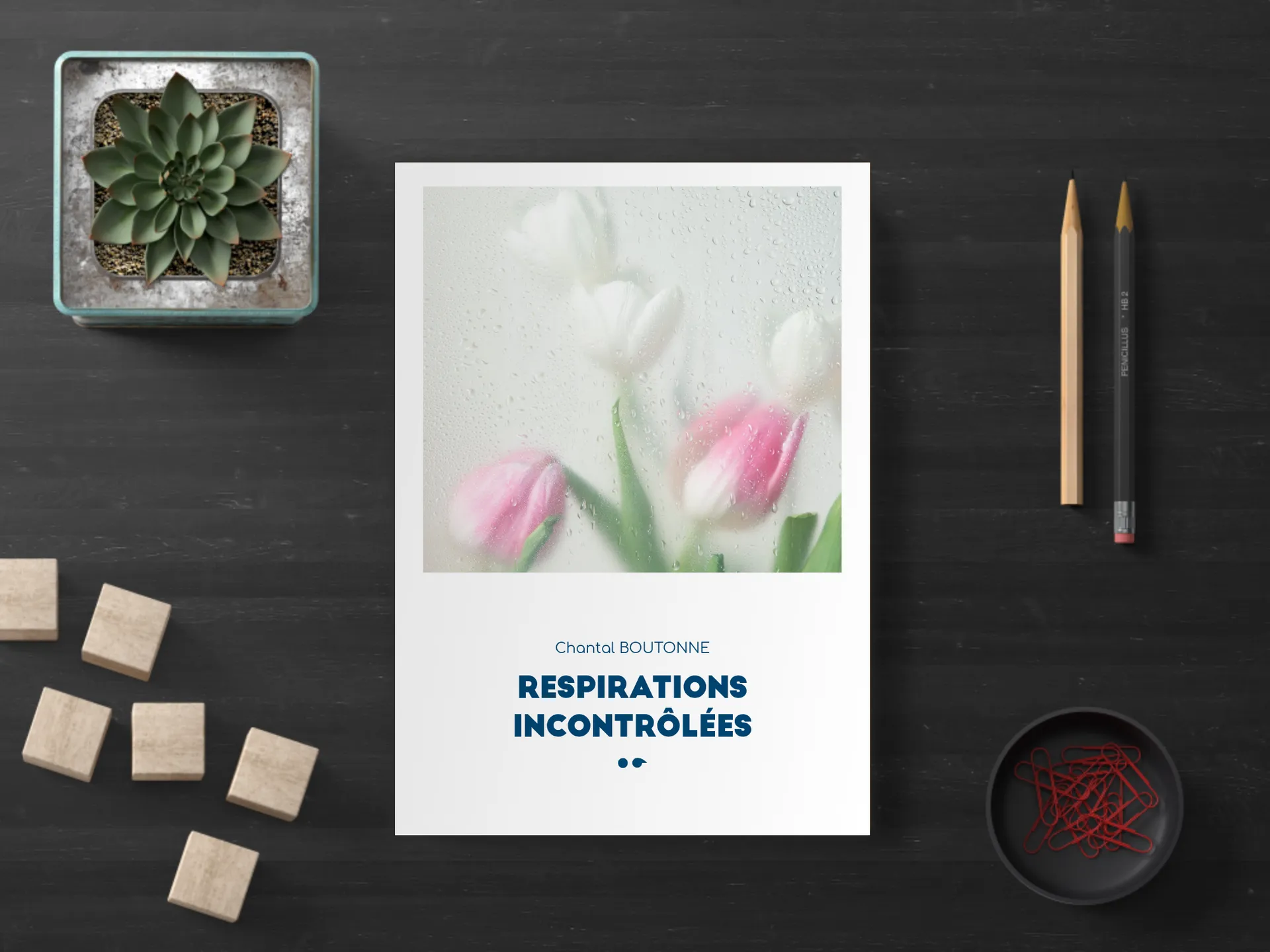 Cover of the book