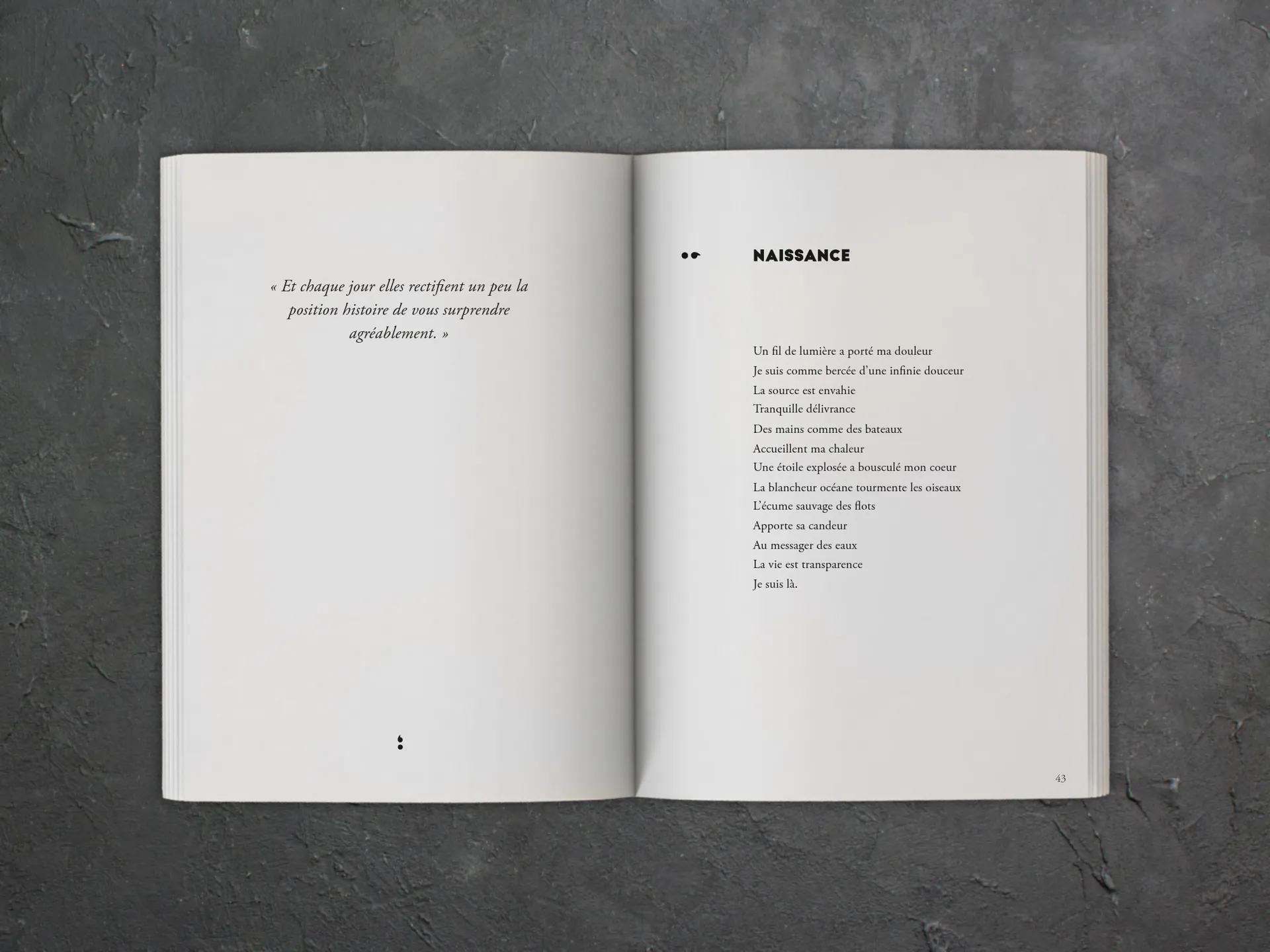 Cover of the book