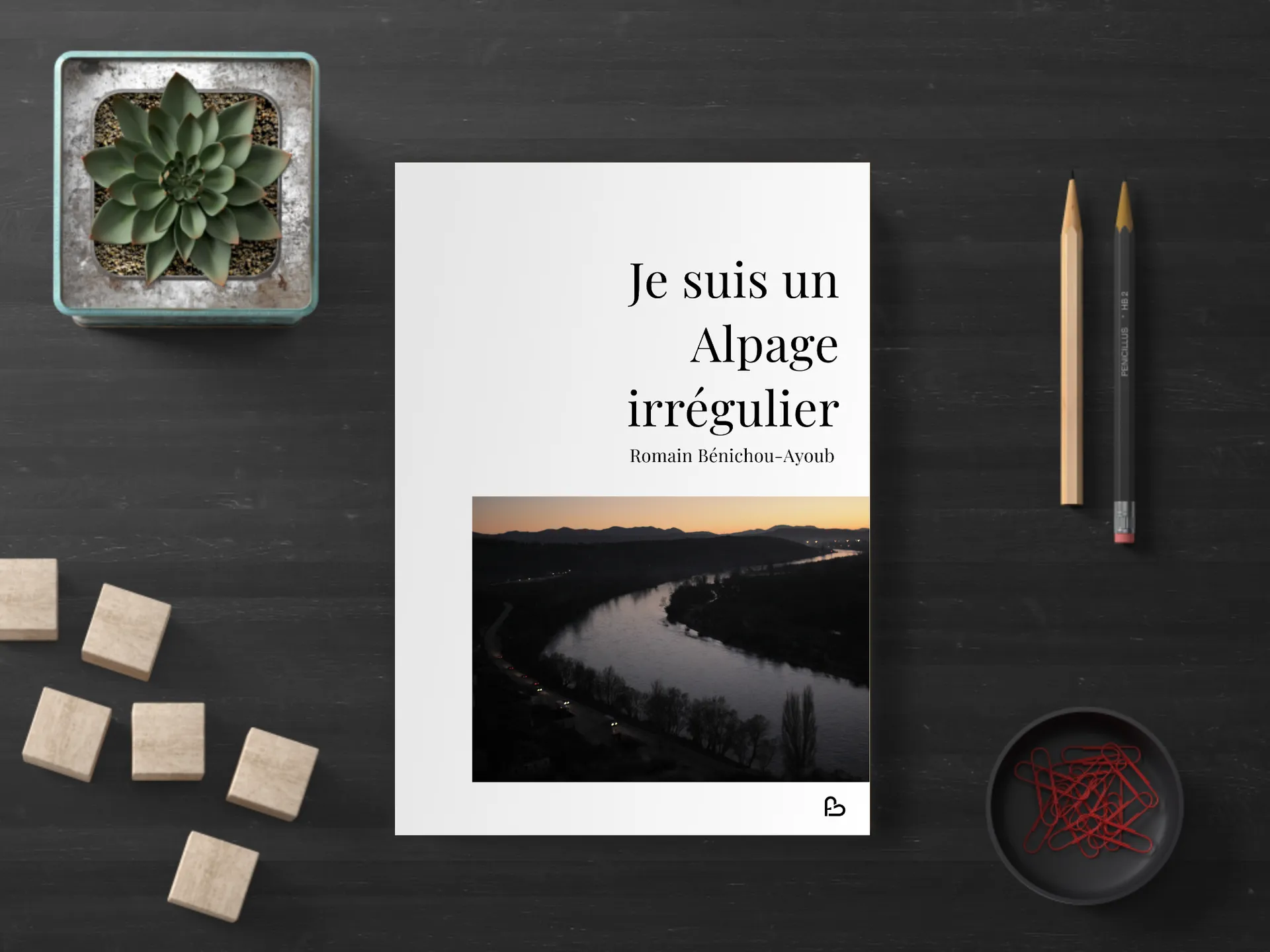 Cover of the book