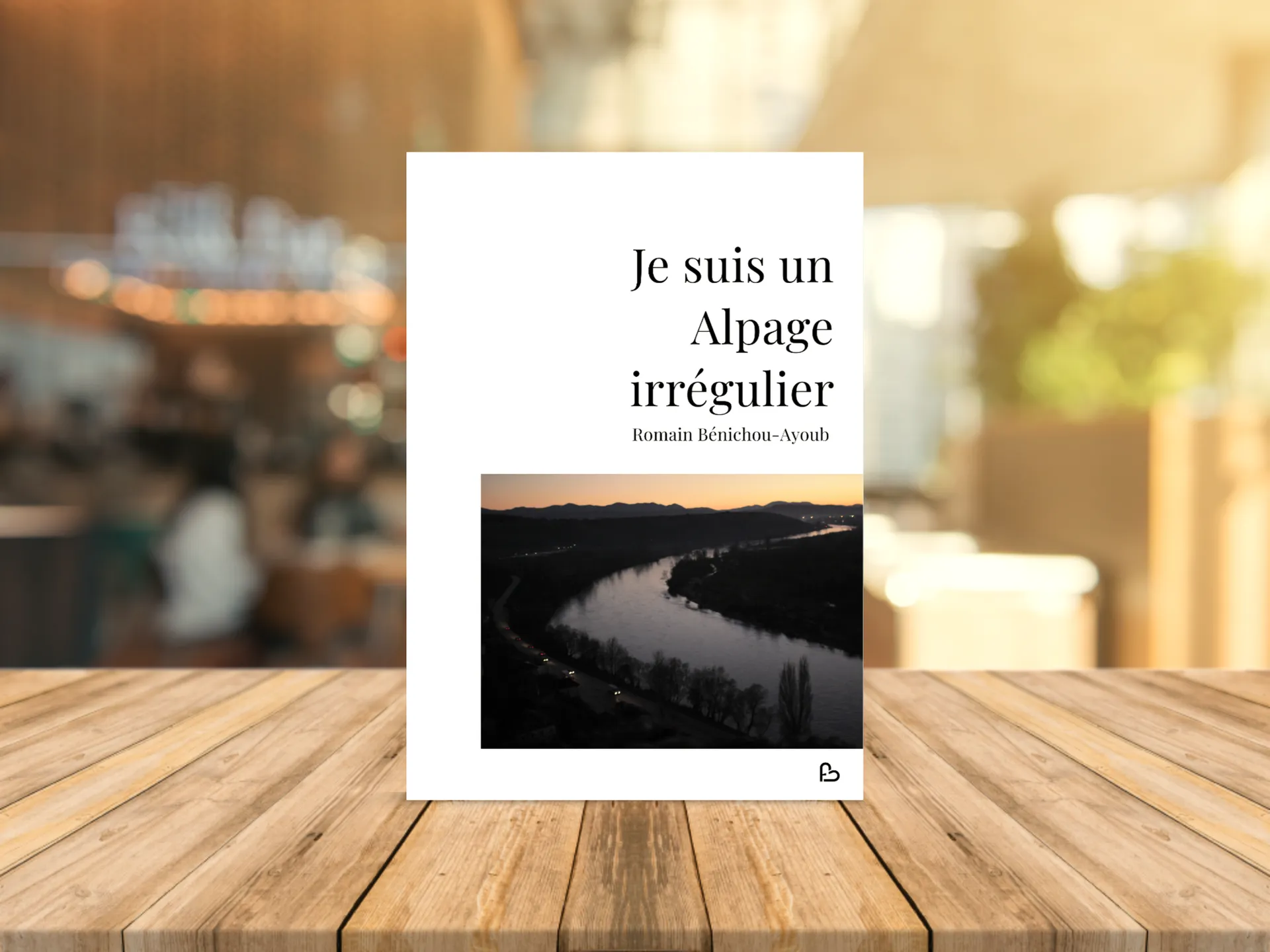 Cover of the book