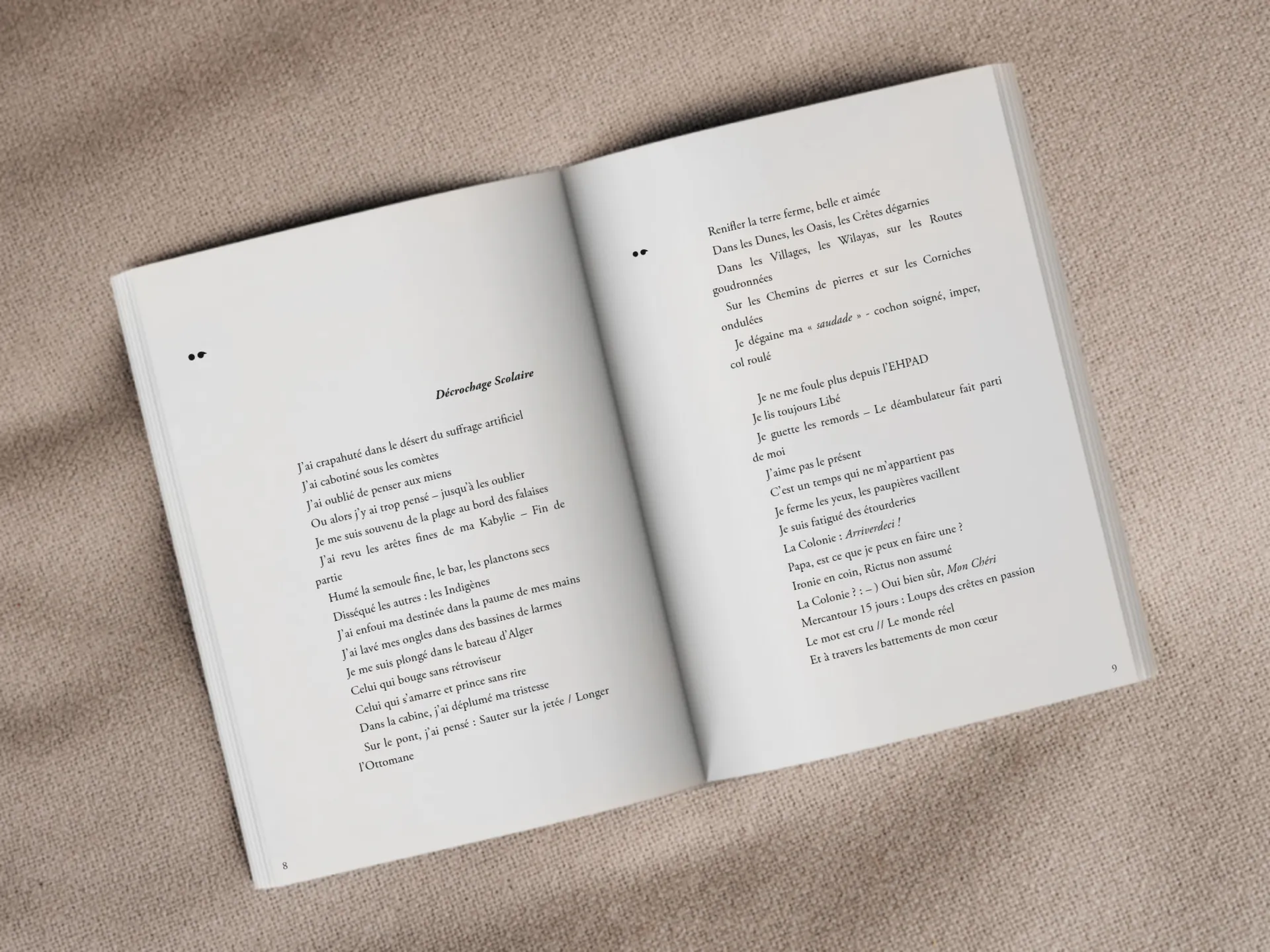 Cover of the book