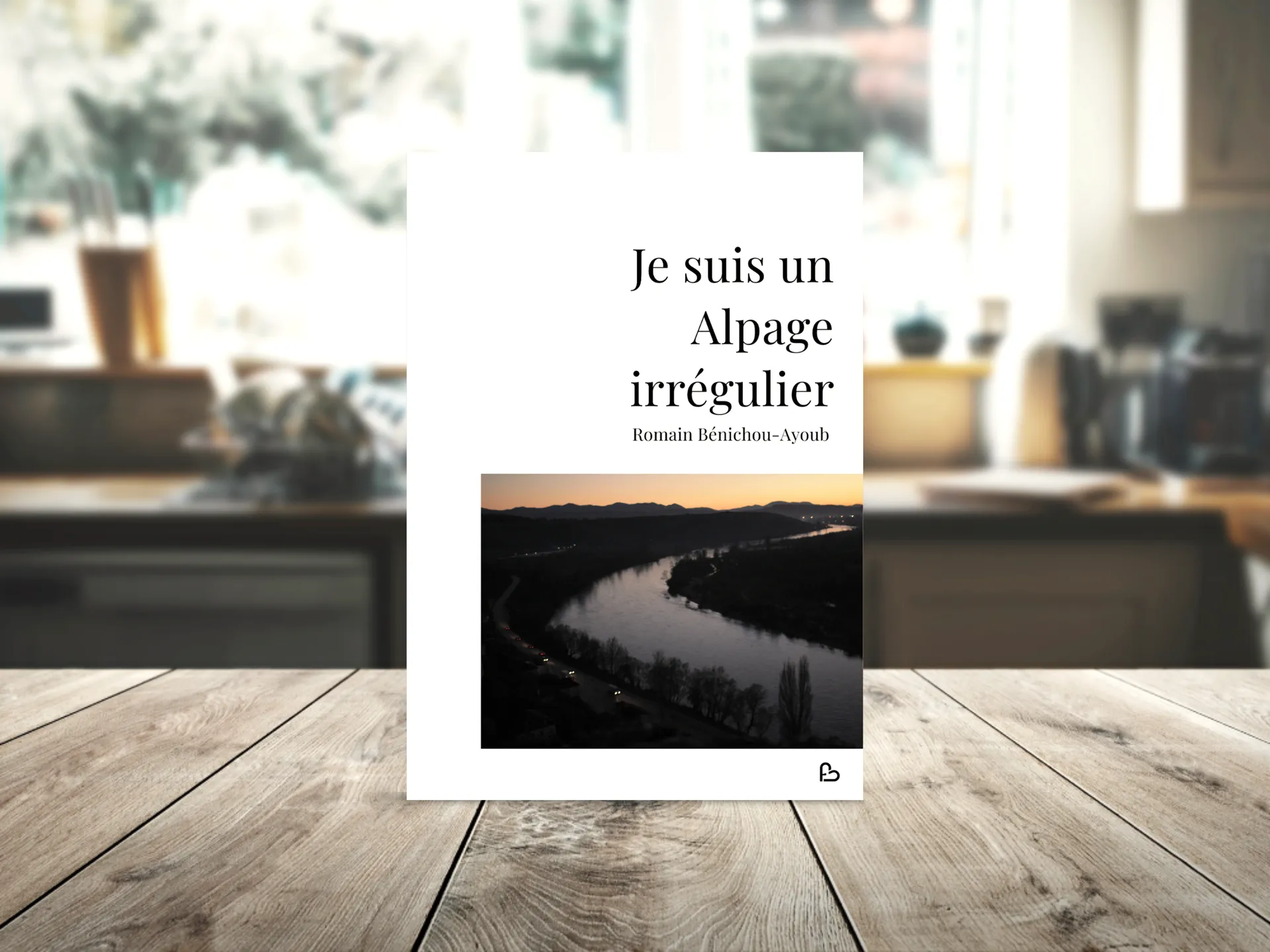 Cover of the book