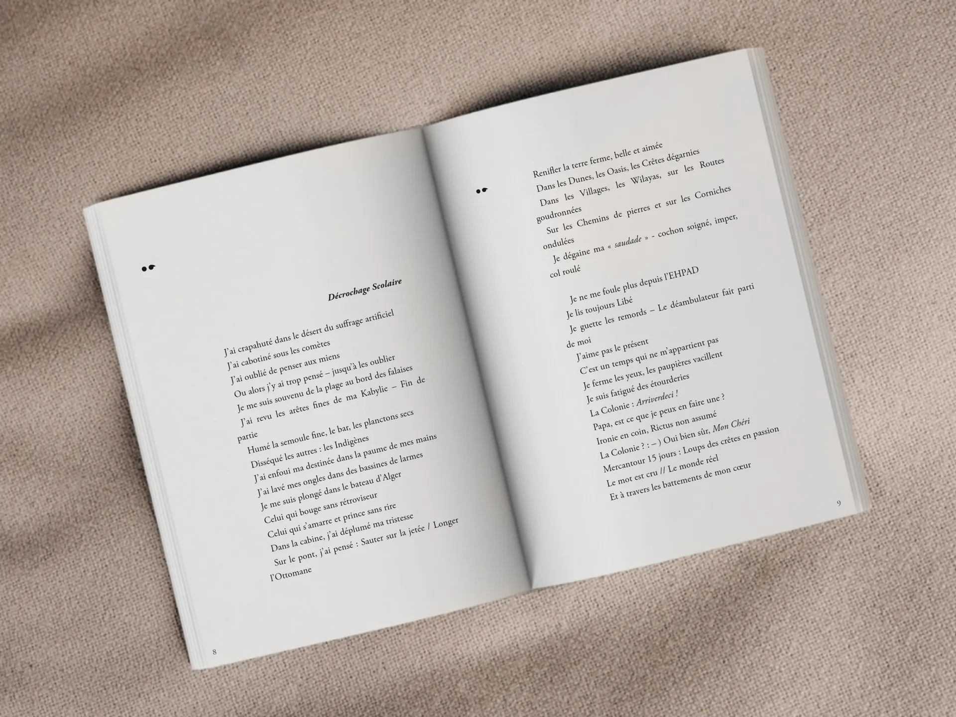 Cover of the book