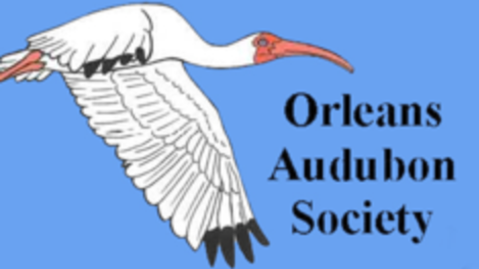 OAS Program Meetings