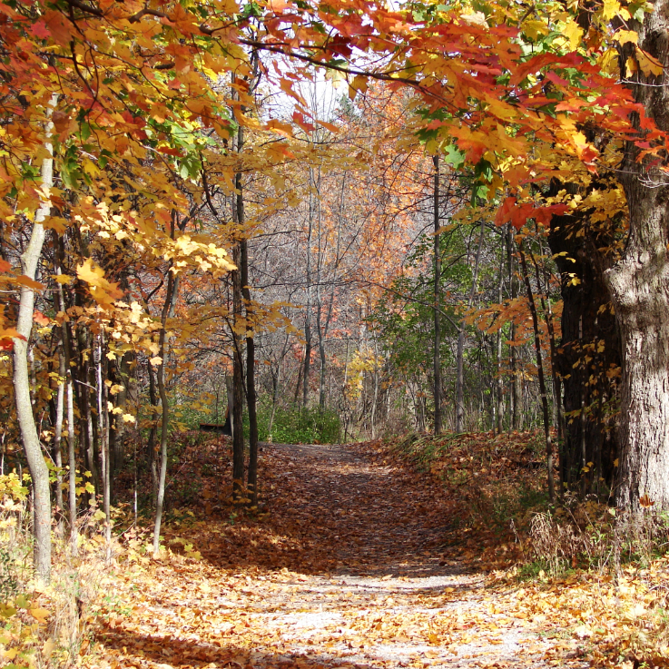 Chippewa Nature Center