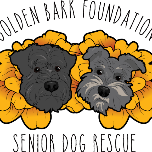 organization-logo