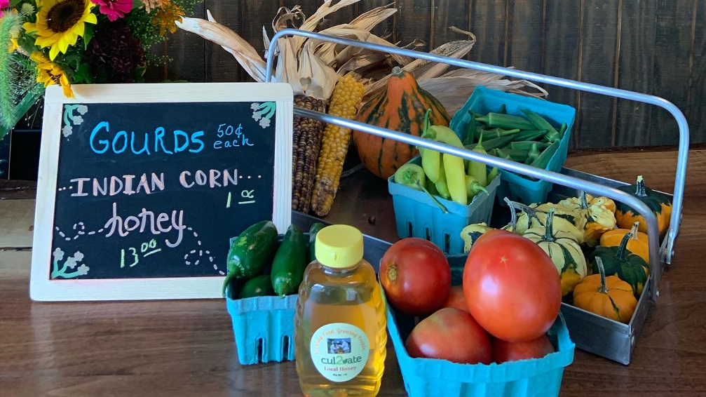 Volunteer leader presenting a project idea