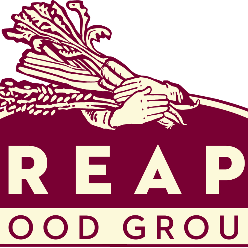 organization-logo